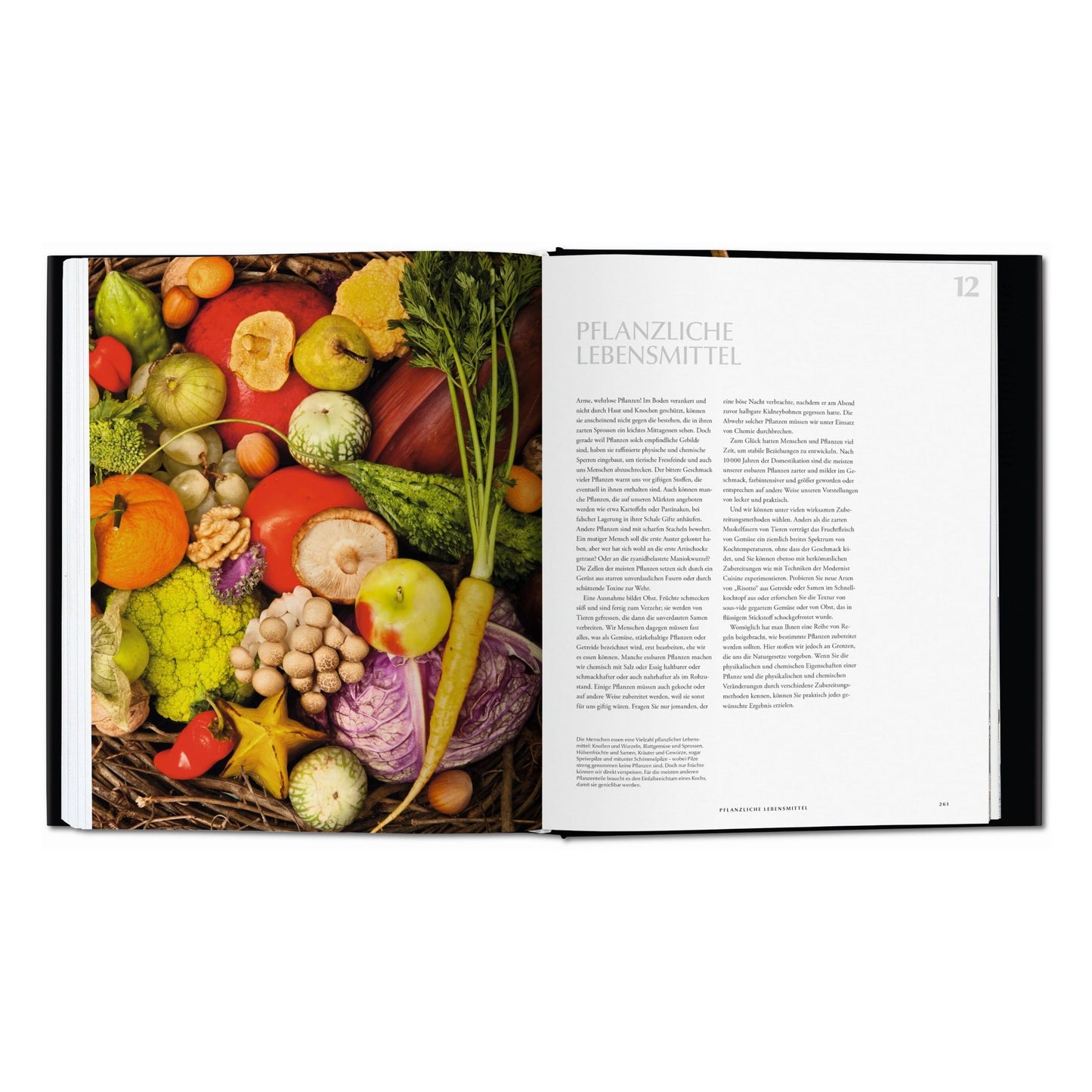 Modernist Cuisine. El arte y la ciencia de la cocina (Spanish)