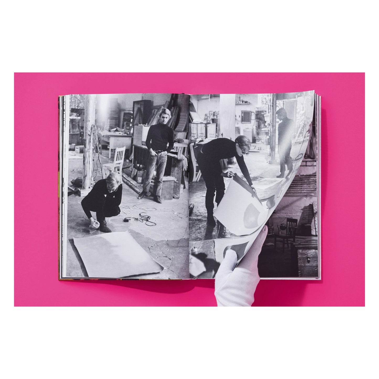 Steve Schapiro. Andy Warhol and Friends (English) (SA)