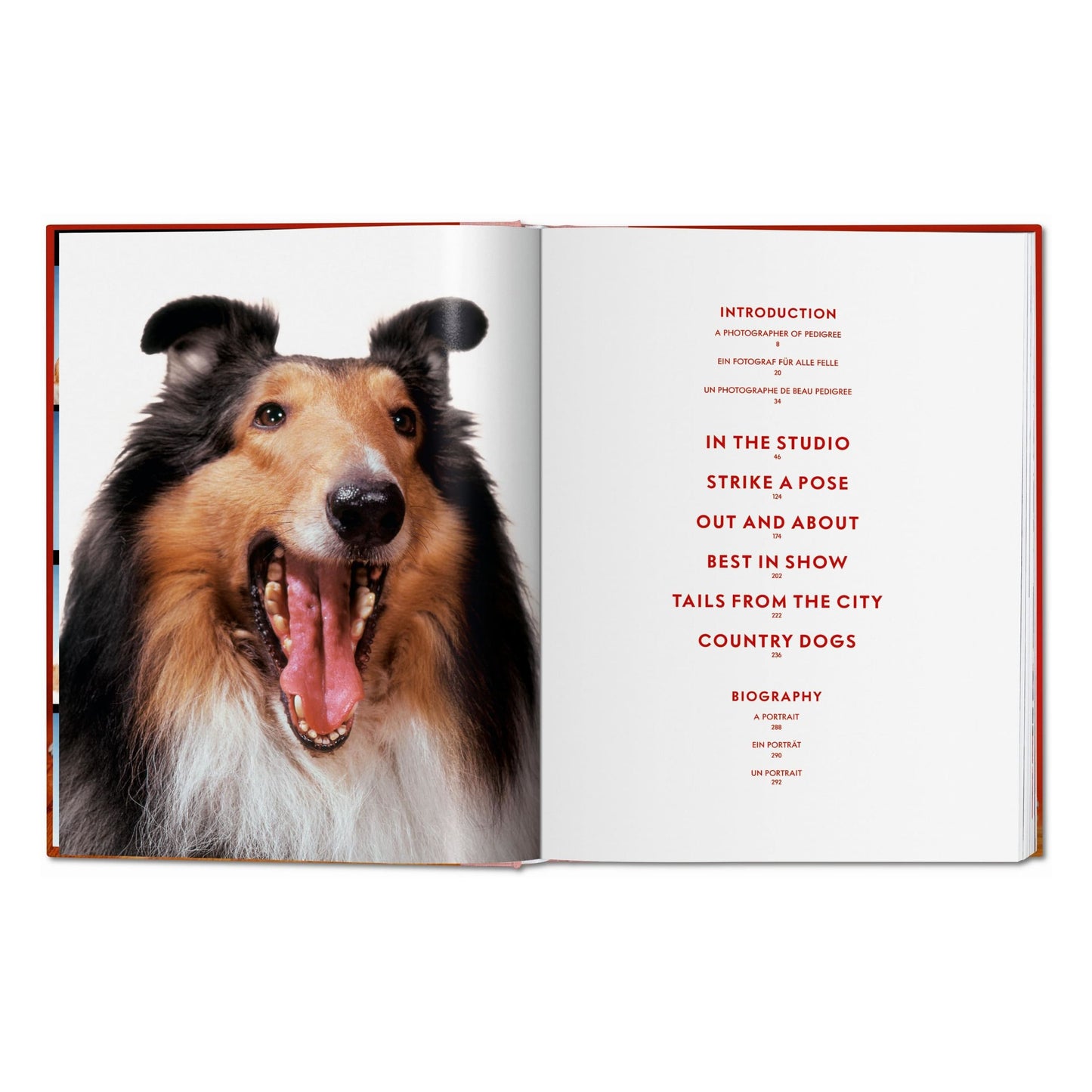 Walter Chandoha. Dogs. Photographs 1941–1991 (German, French, English)