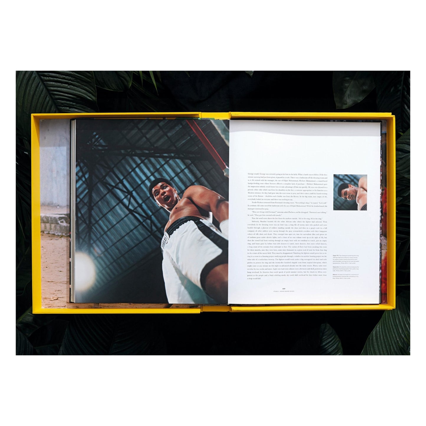 Norman Mailer. N.Leifer. H.Bingham. The Fight. Art Edition No. 1–125, Neil Leifer ‘Ali vs. Foreman – Ali Glaring at Foreman’ (English)