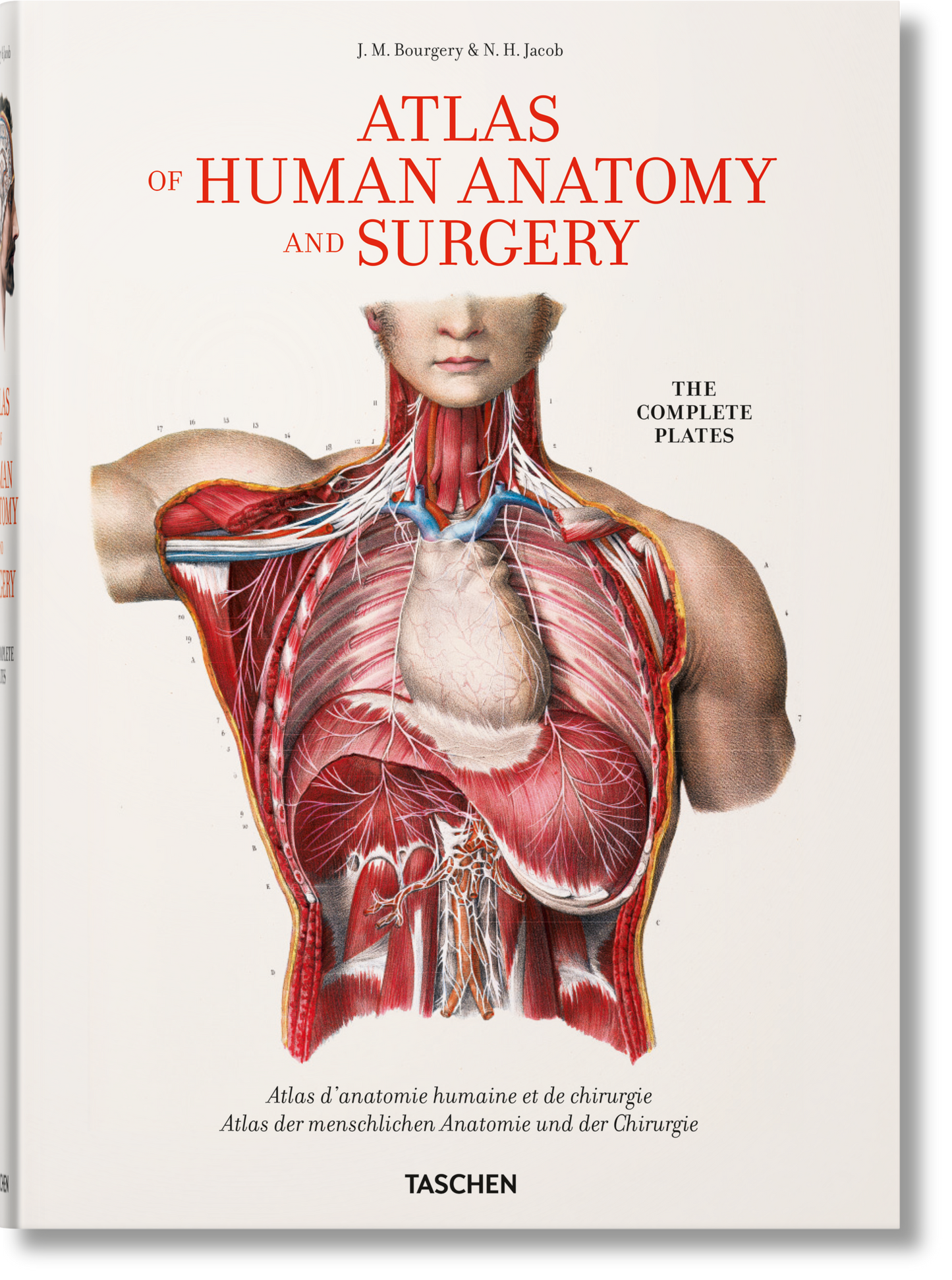 Bourgery. Atlas of Human Anatomy and Surgery (German, French, English)