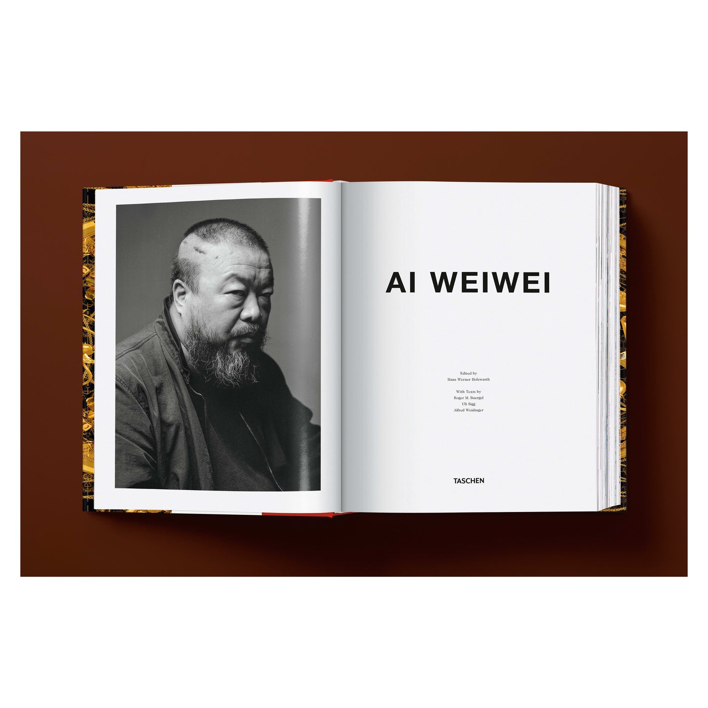 Ai Weiwei. Updated Edition (German, French, English)