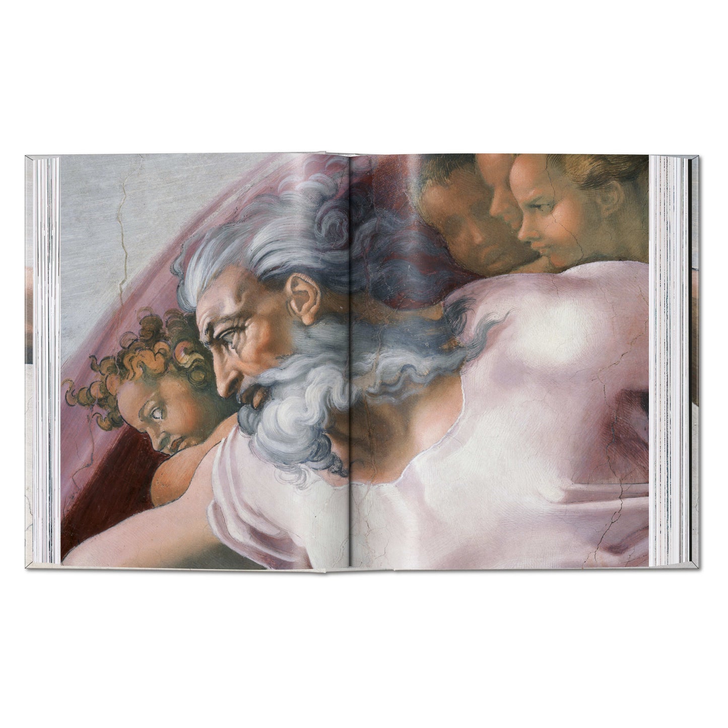 Michelangelo. Paintings, Sculptures, Architecture. 45th Ed. (English)