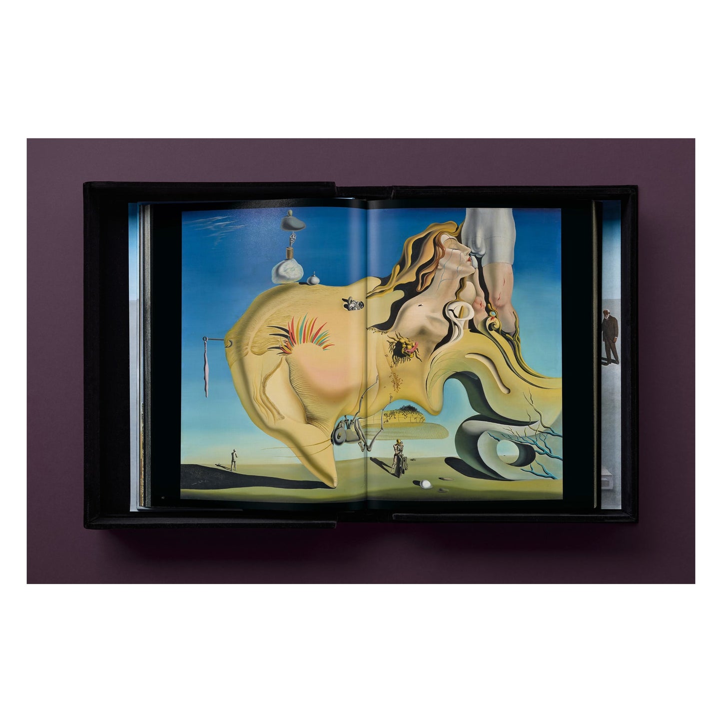 Dalí. BABY SUMO (English)