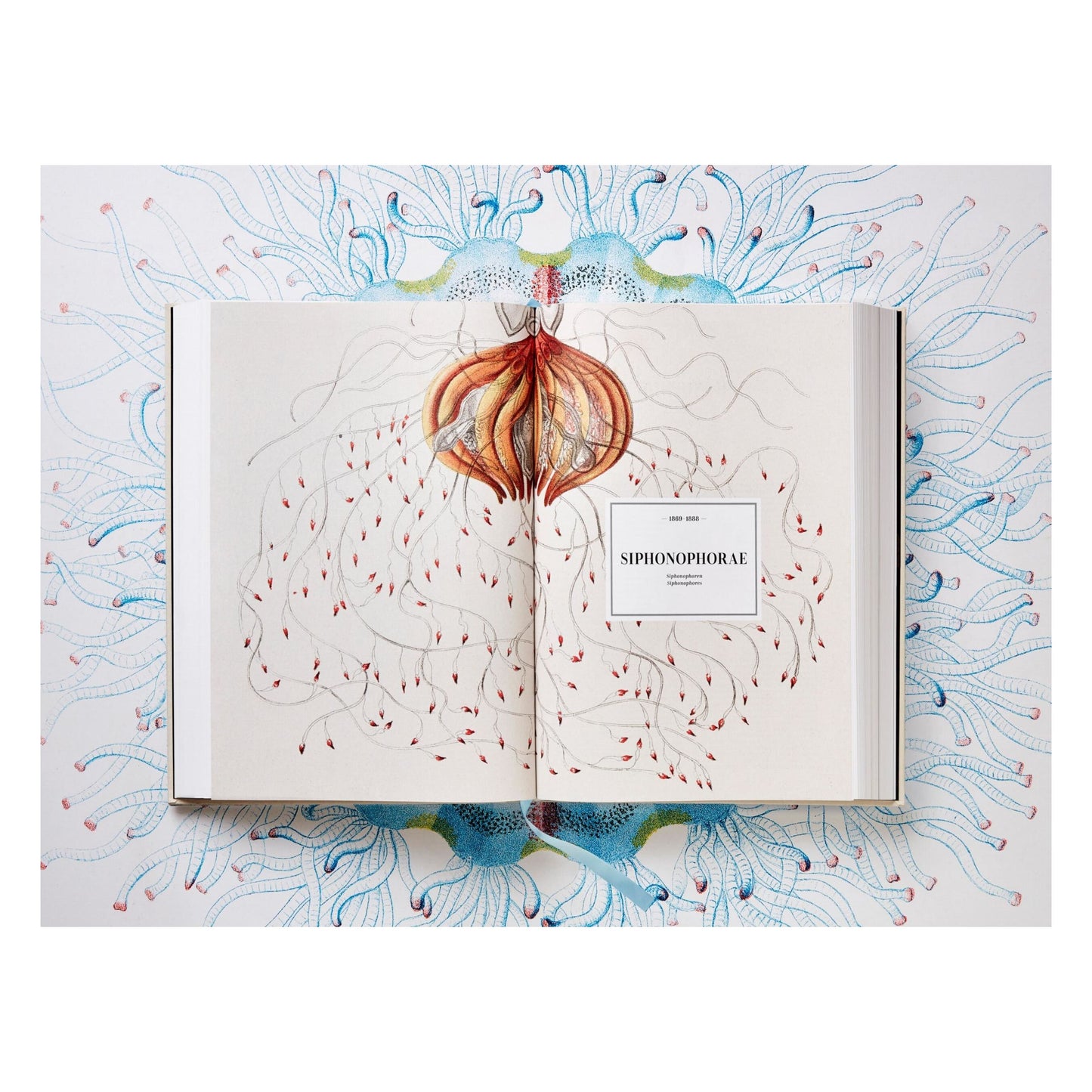 The Art and Science of Ernst Haeckel (German, French, English)