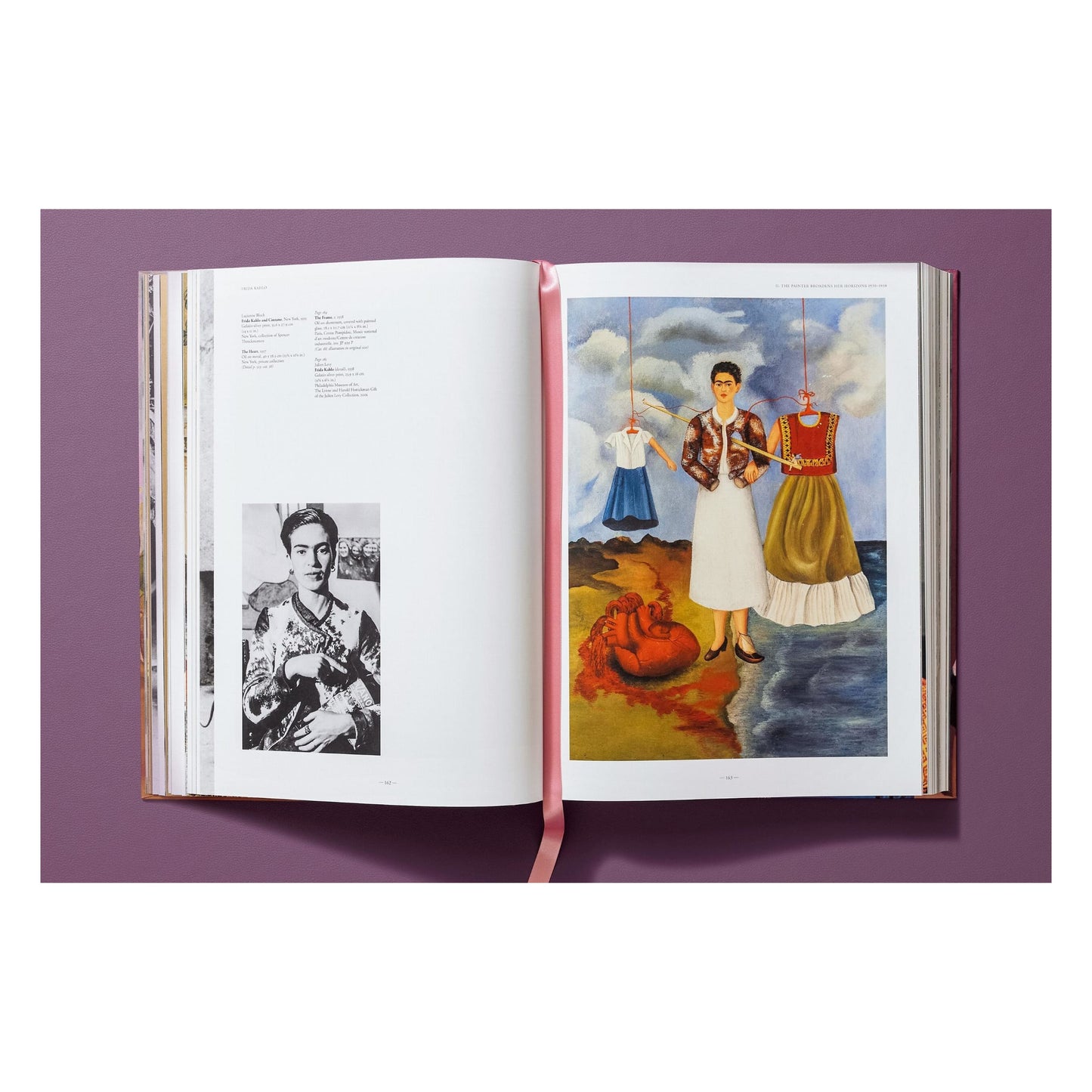 Frida Kahlo. Toute l'œuvre peinte (French)
