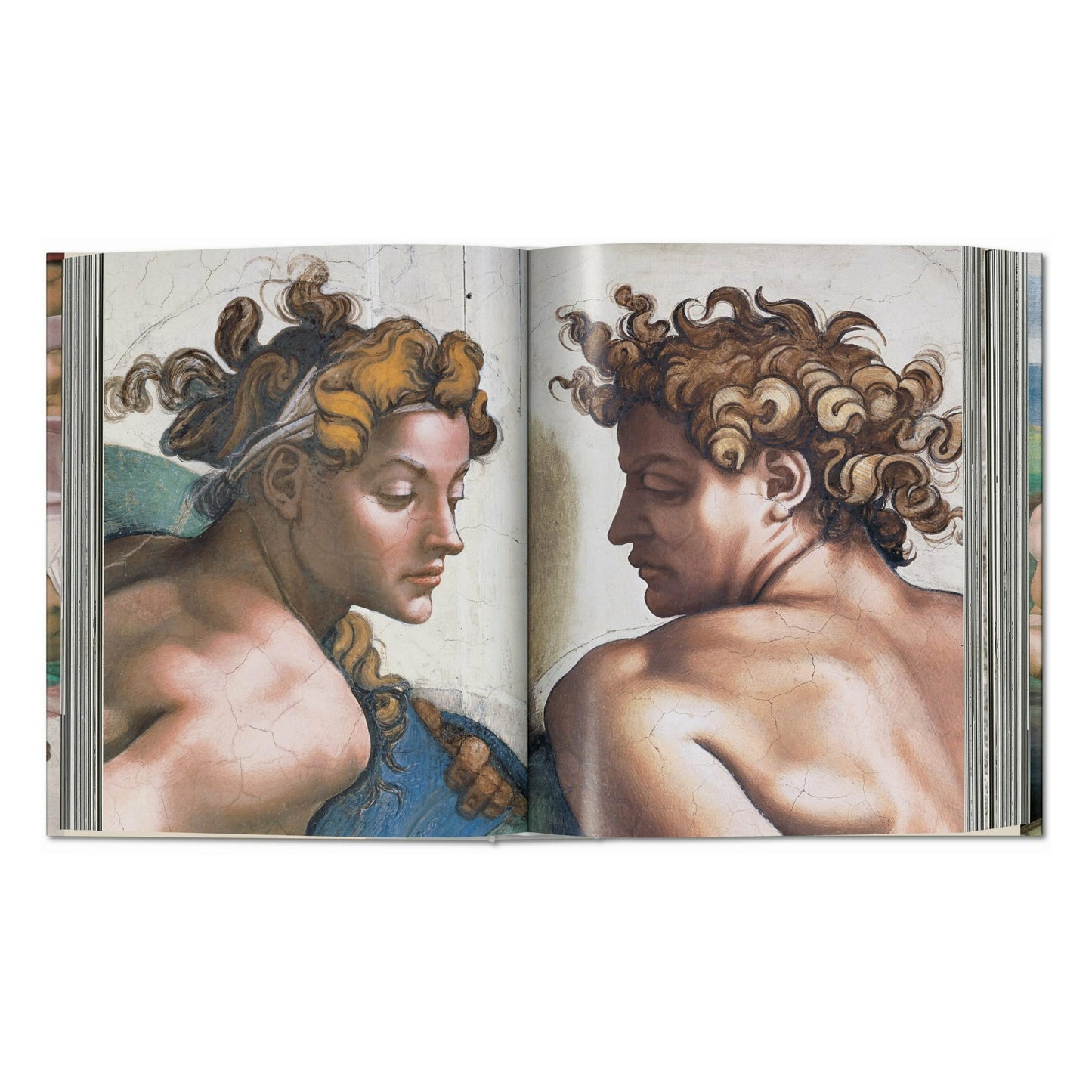 Michel-Ange. L'œuvre complet. Peinture, sculpture, architecture (French)