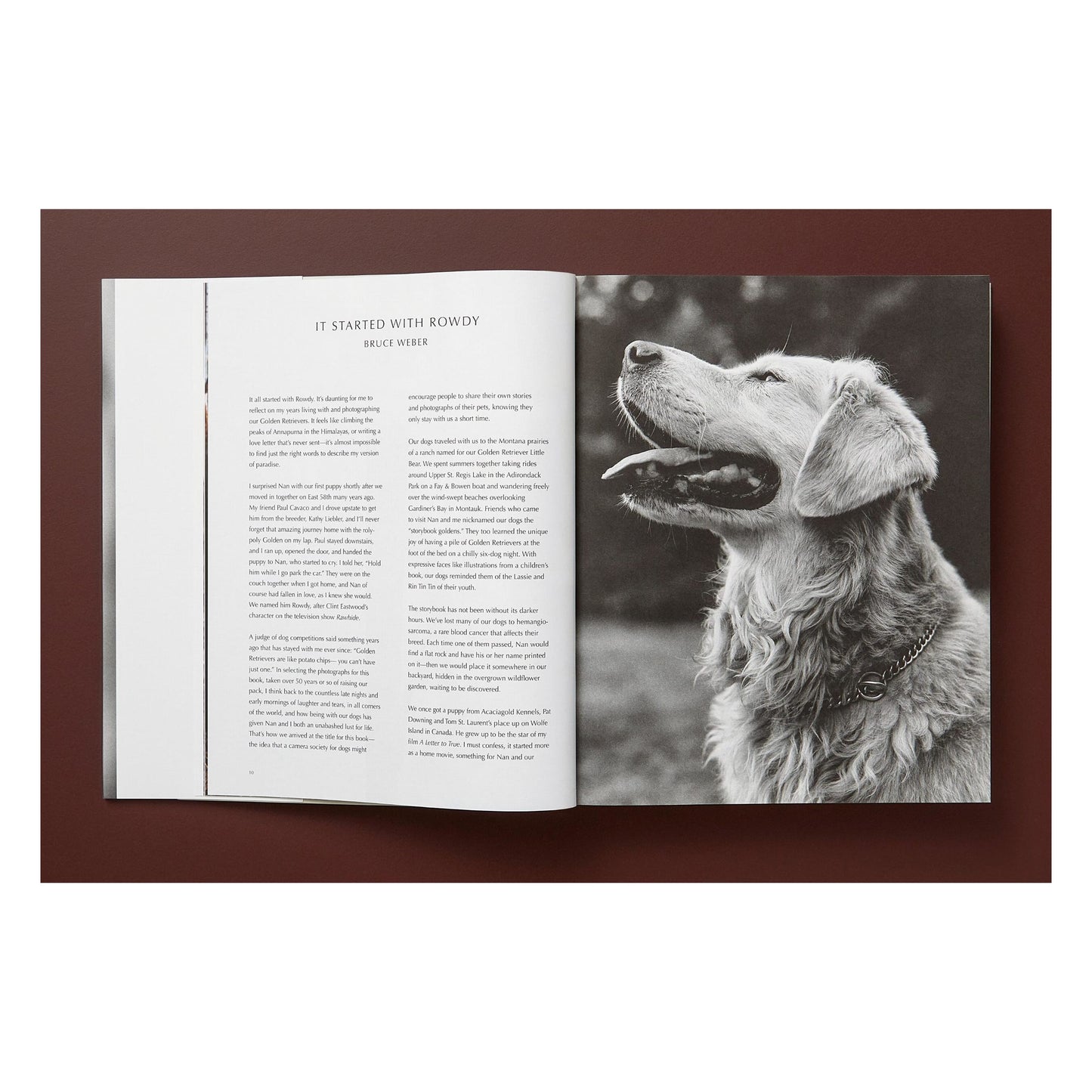 Bruce Weber. The Golden Retriever Photographic Society. Art Edition No. 1–100 ‘Little Bear Ranch, Montana, 1996’ (German, French, English) (SA)