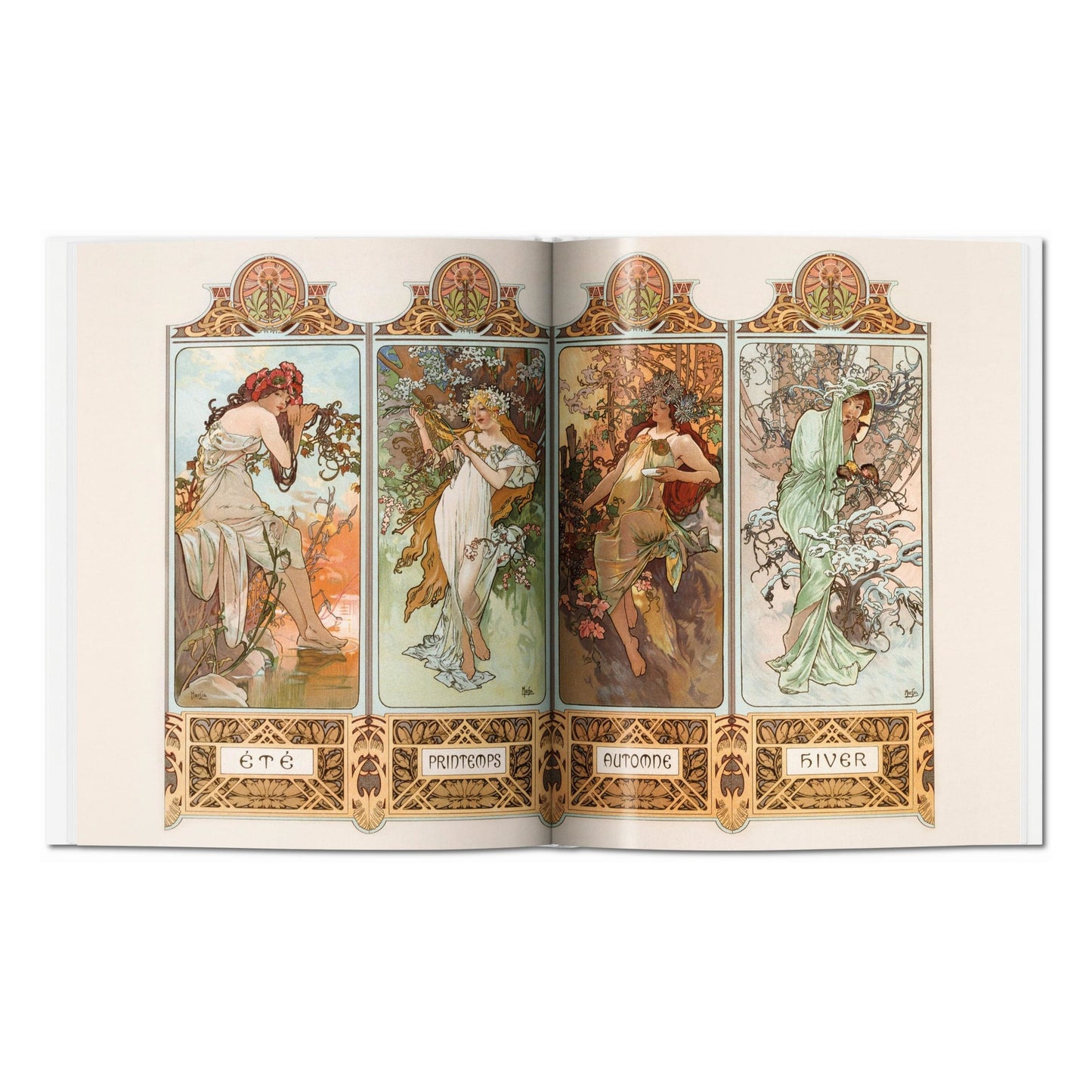Mucha (Spanish)