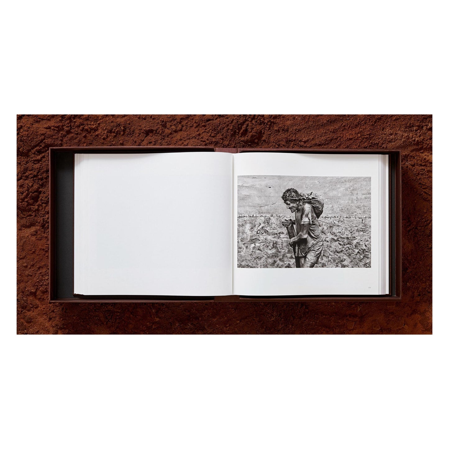 Sebastião Salgado. Gold (English)