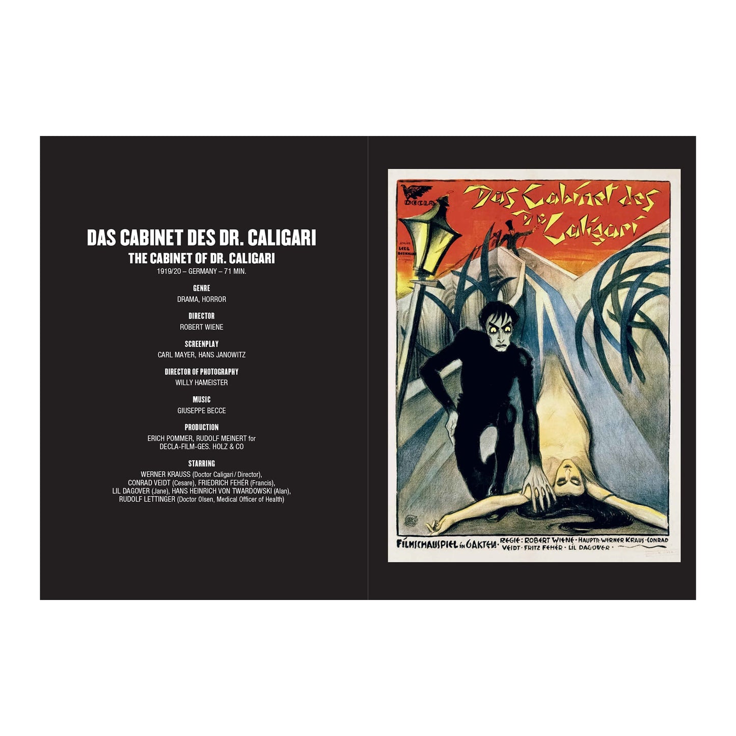 100 Movies of the 1920s and Early Cinema (English)