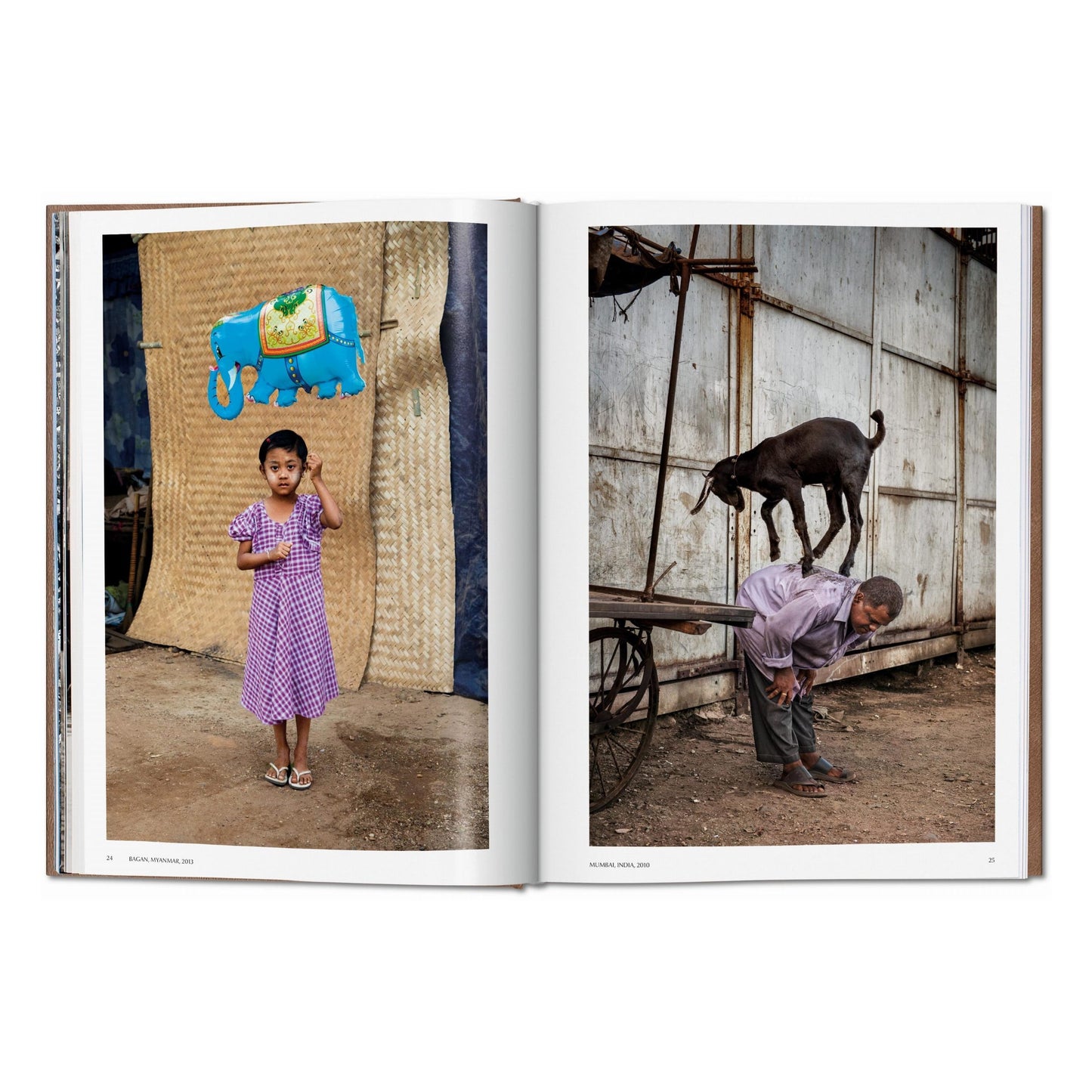 McCurry, Animals, Art A, Chiang Mai (German, French, English) (SA)