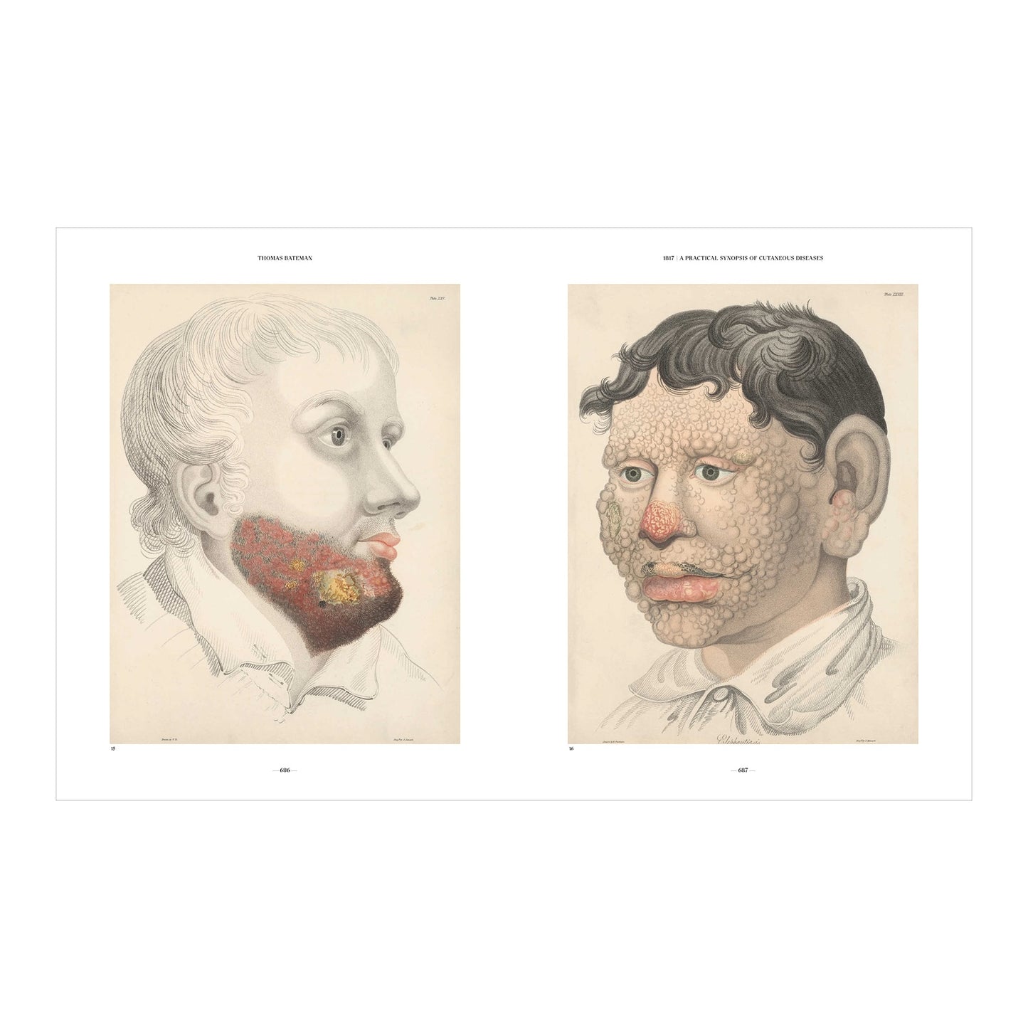 The Book of the Human Body (German, Spanish, French, English)