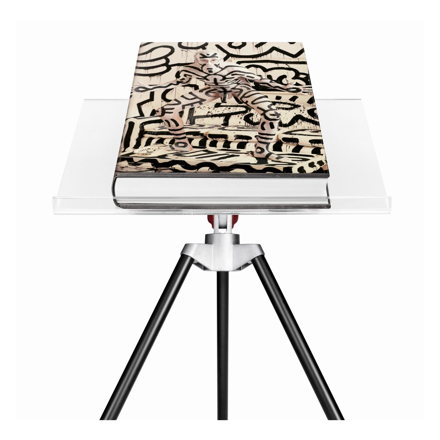 Annie Leibovitz. Art Edition 'Keith Haring' (German, French, English) (SA)