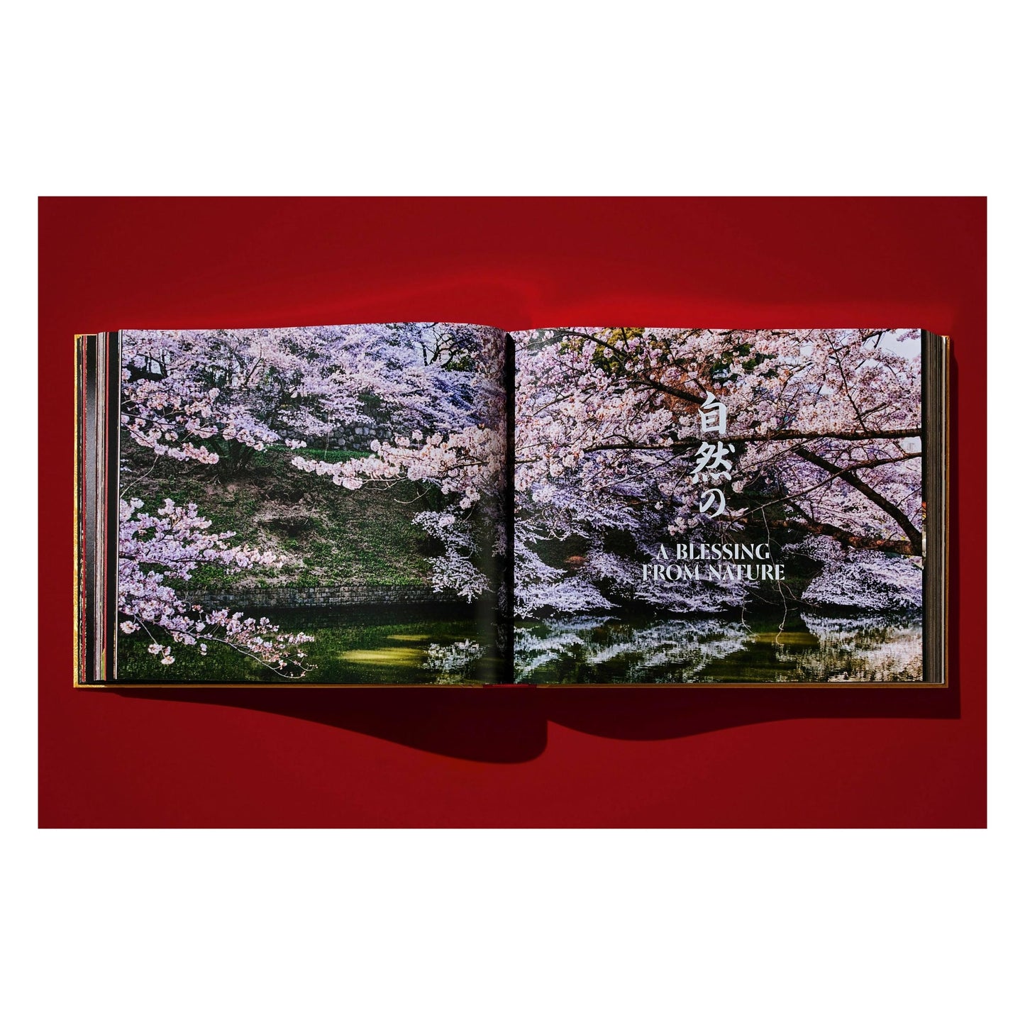 Yoshihiro Narisawa. Satoyama Cuisine (English) (AP)
