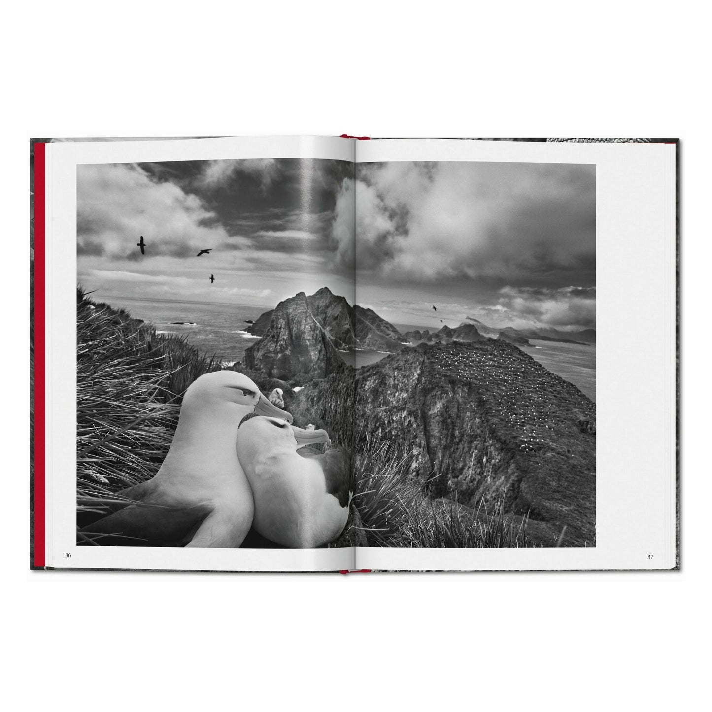 Sebastião Salgado. Genesis (French)