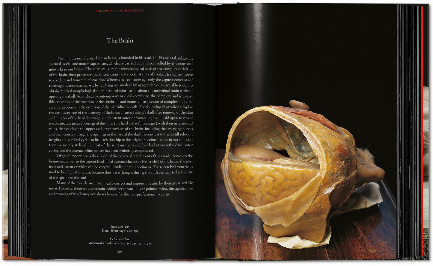 Anatomical Waxes. 45th Ed. (German, French, English)