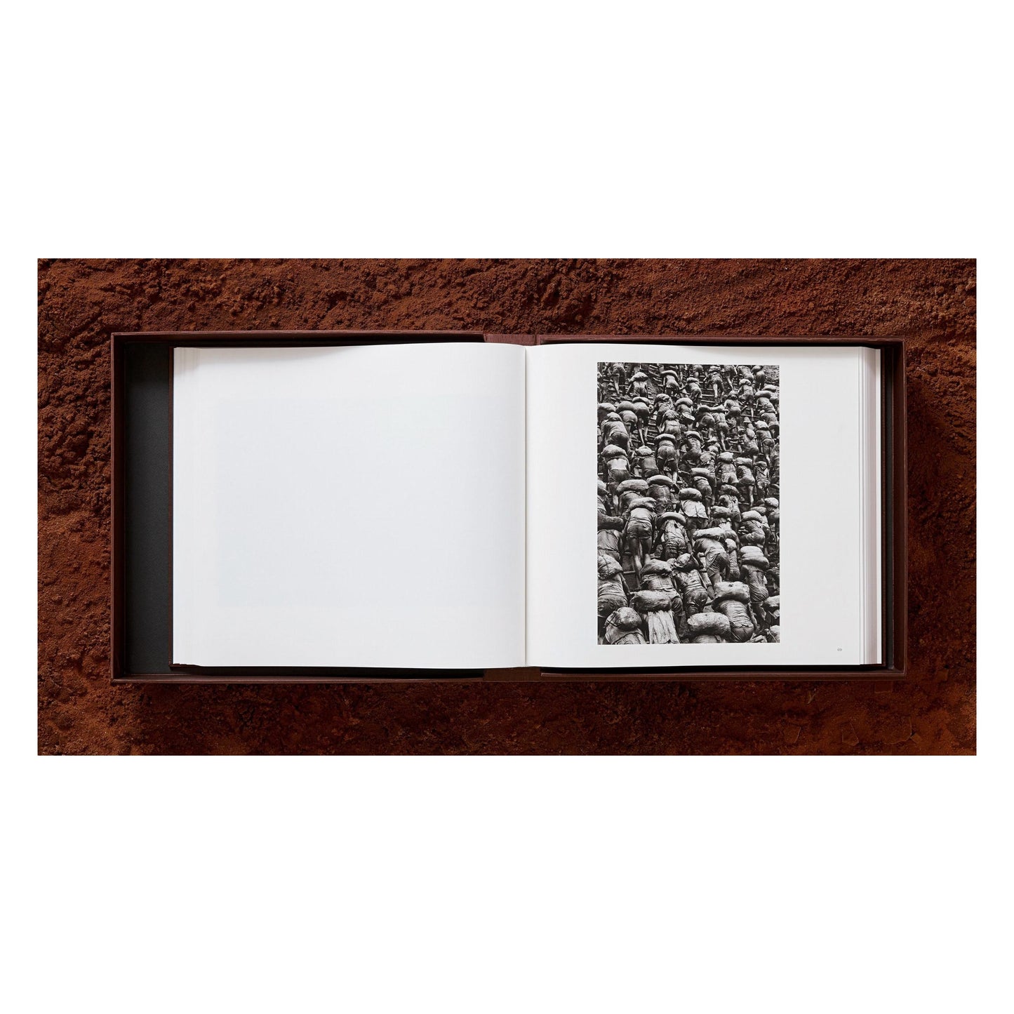 Sebastião Salgado. Gold (English)
