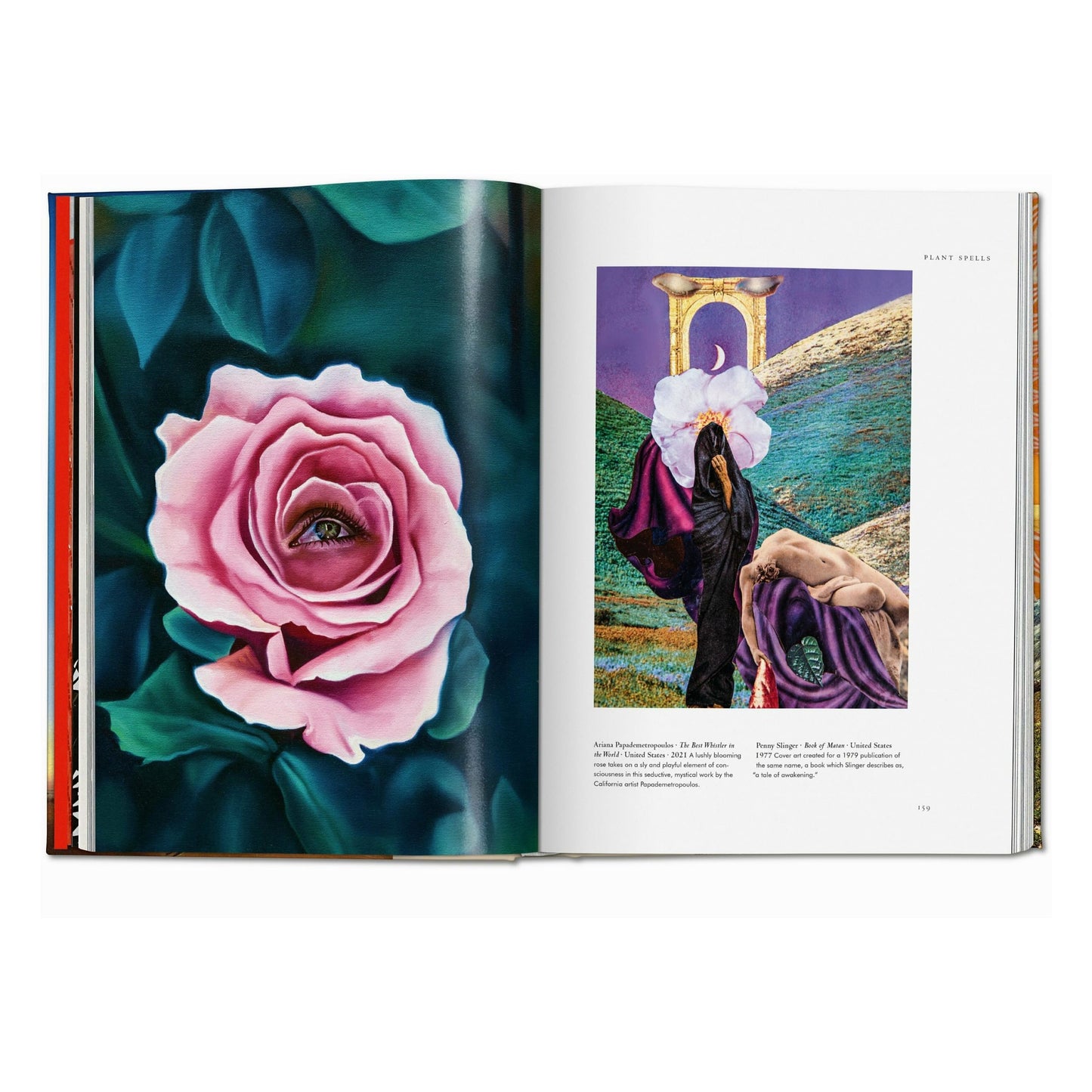Magie des plantes. La Bibliothèque de l'Ésotérisme (French)