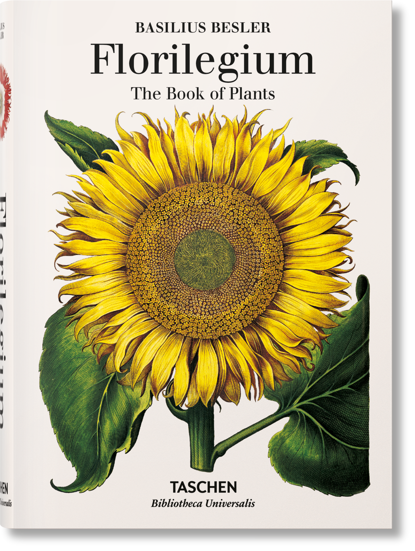 Basilius Besler. Florilegium. The Book of Plants (English)