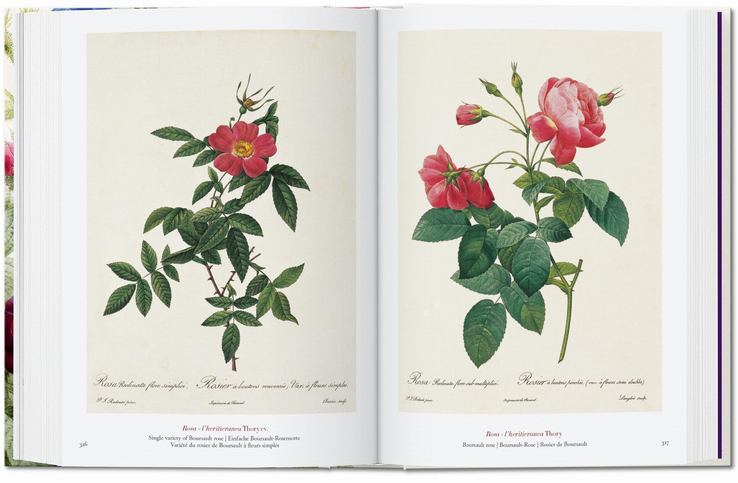 Redouté. The Book of Flowers. 45th Ed. (German, French, English)