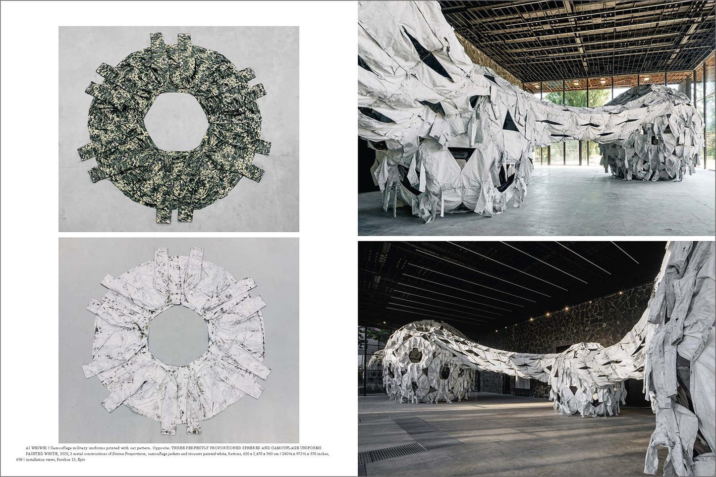 Ai Weiwei. Updated Edition (German, French, English)