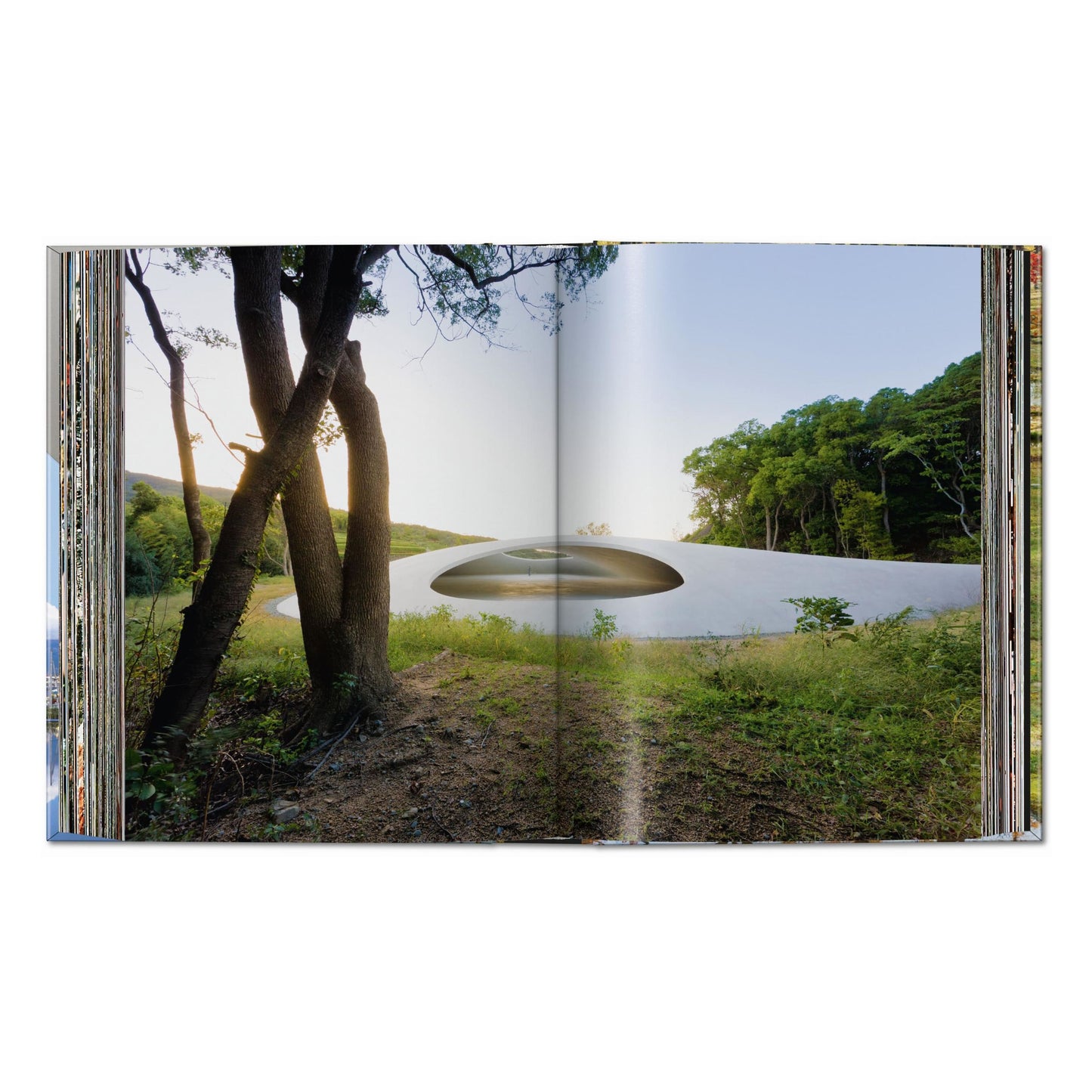 Contemporary Japanese Architecture. 40th Ed. (Spanish, English, Italian)