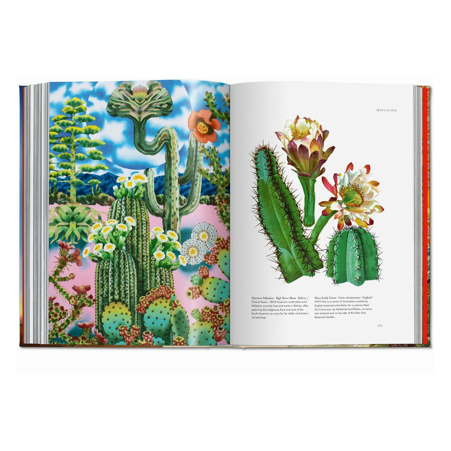 Magie des plantes. La Bibliothèque de l'Ésotérisme (French)