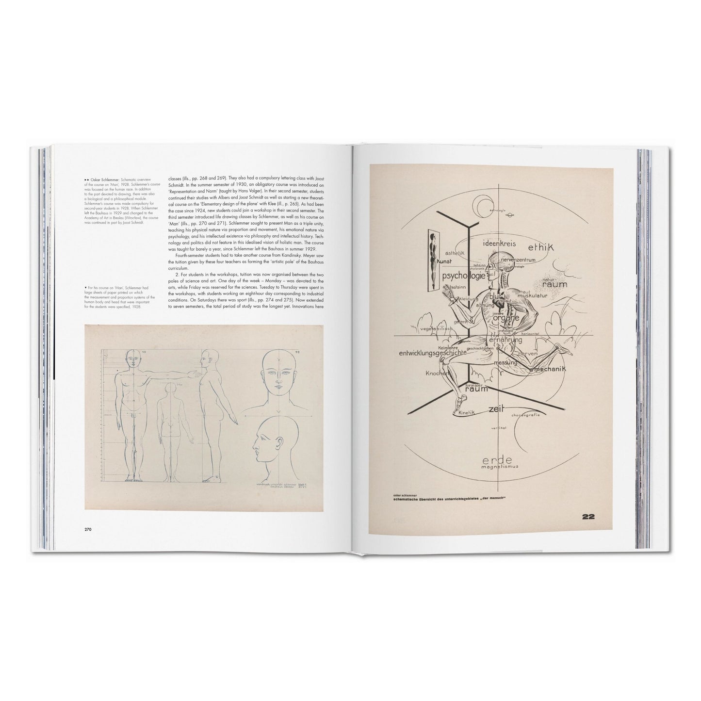 Bauhaus. Updated Edition (English)