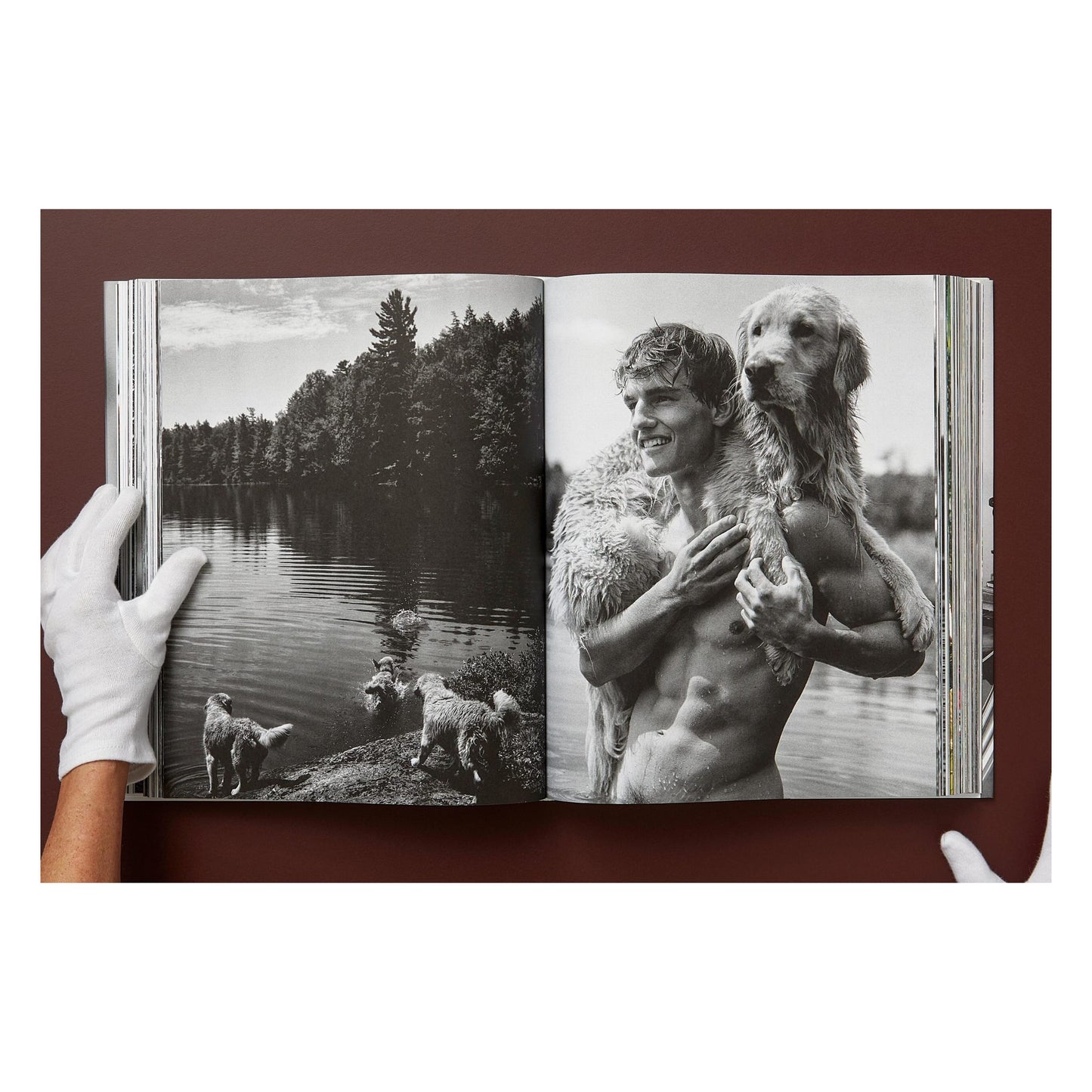 Bruce Weber. The Golden Retriever Photographic Society. Art Edition No. 1–100 ‘Little Bear Ranch, Montana, 1996’ (German, French, English) (SA)