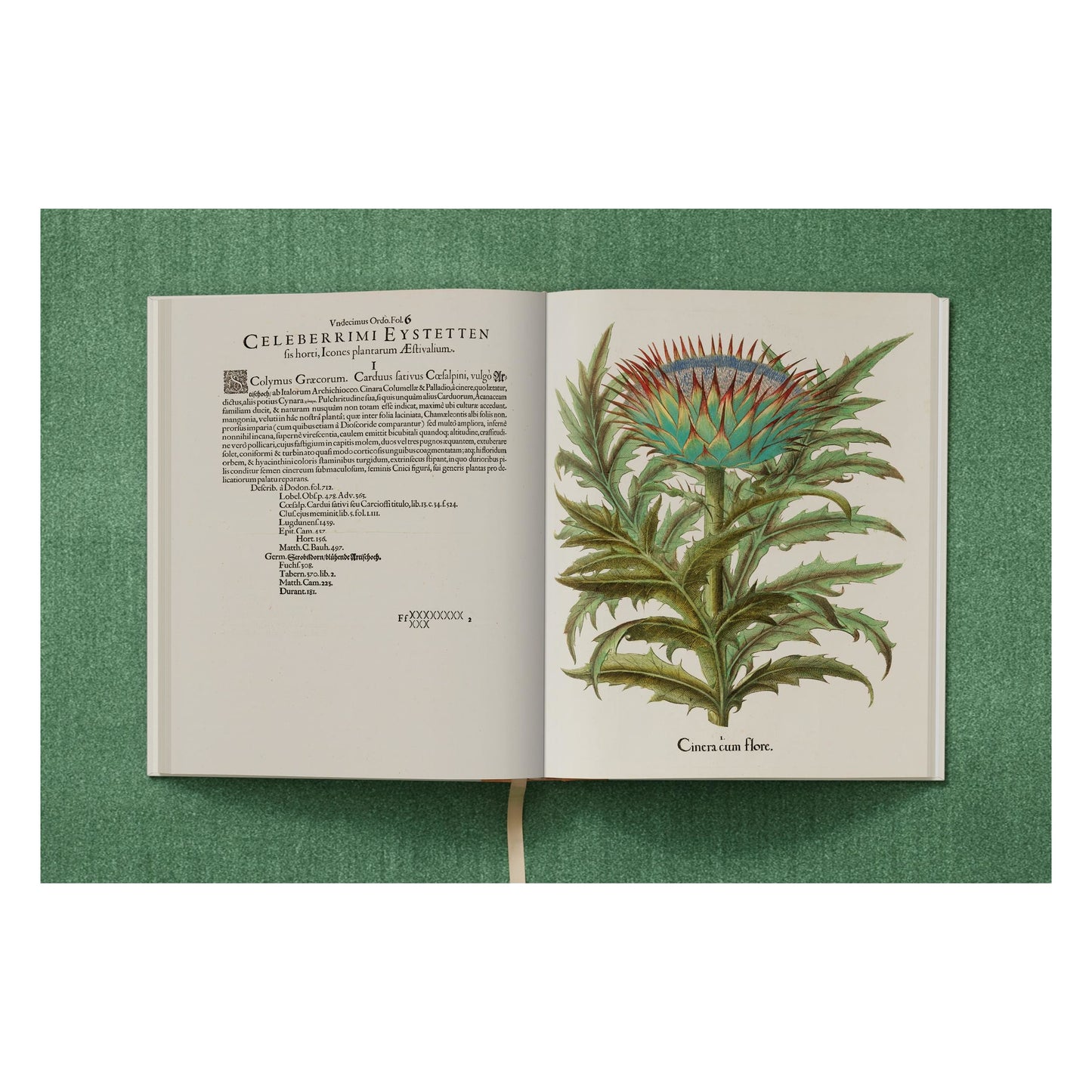 Basilius Besler. The Garden at Eichstätt (German, French, English)