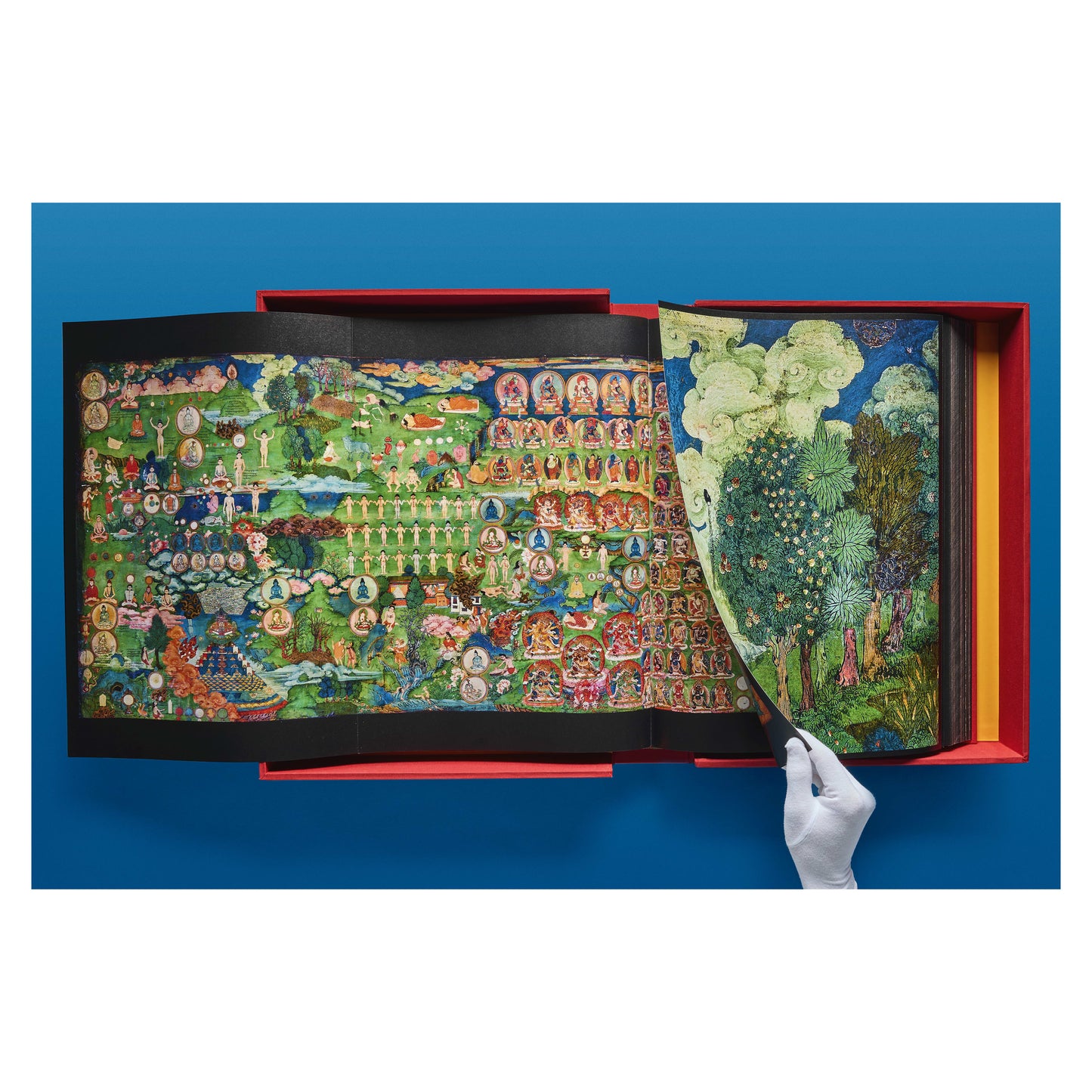 Murals of Tibet. BABY SUMO (English)