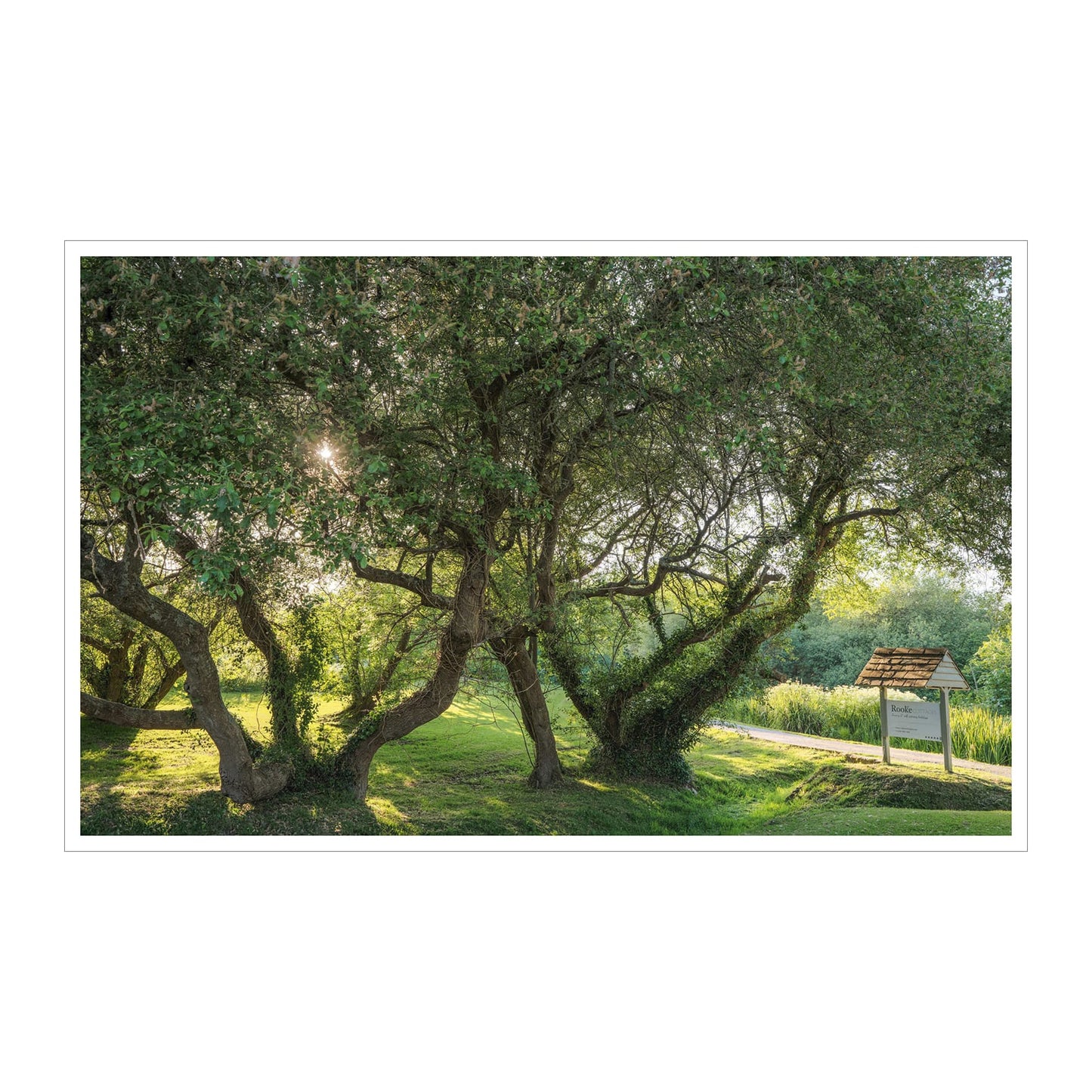 A Kingdom of Cottages. Royal Holiday Homes for Rent (English)