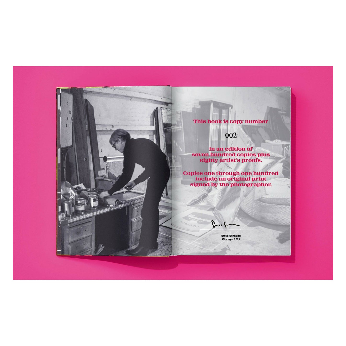 Steve Schapiro. Andy Warhol and Friends (English) (SA)