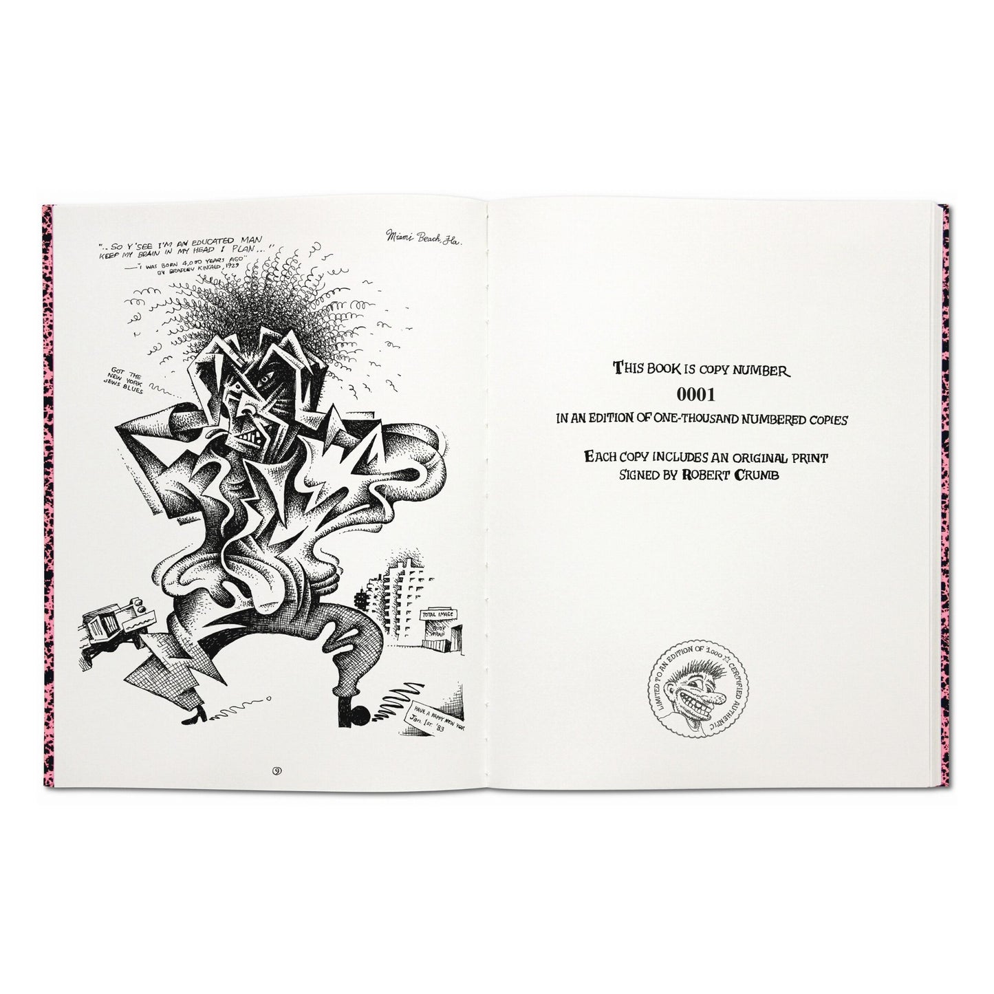 Robert Crumb. Sketchbooks 1982-2011 (English) (AP)