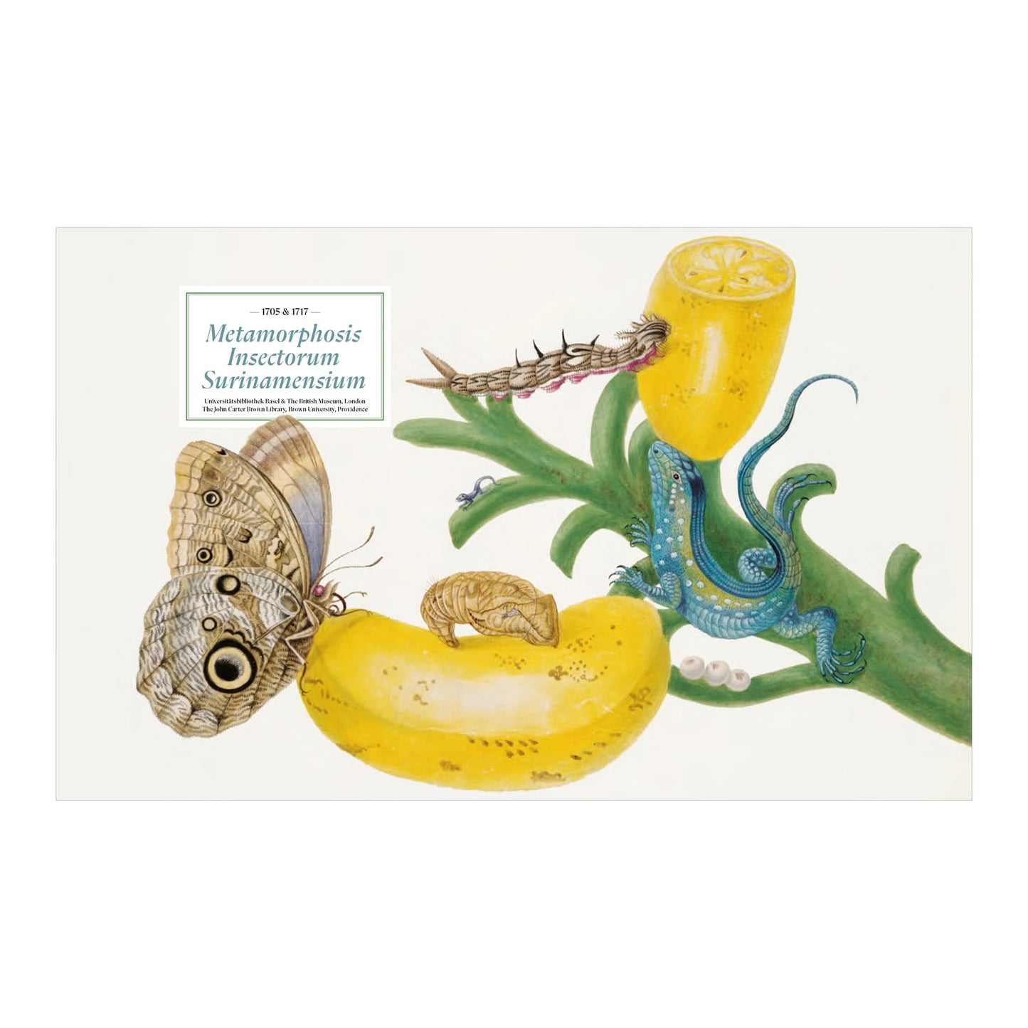 Merian (German, Spanish, French, English)