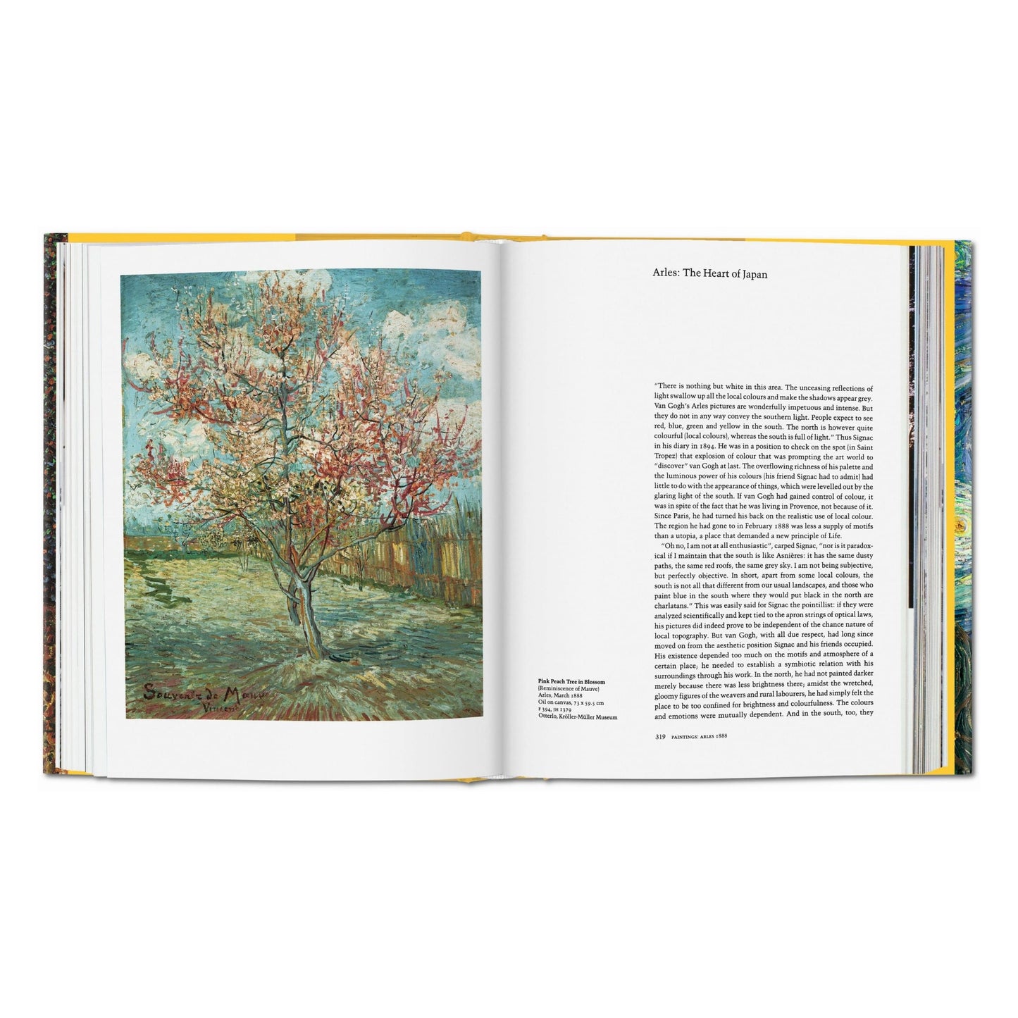 Van Gogh. L'œuvre complet - Peinture (French)