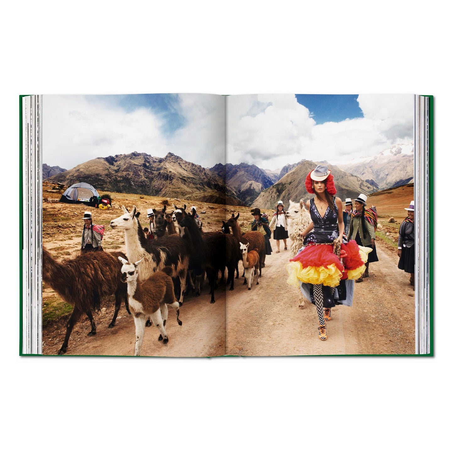 Mario Testino. Private View (English, Chinese) (AP)