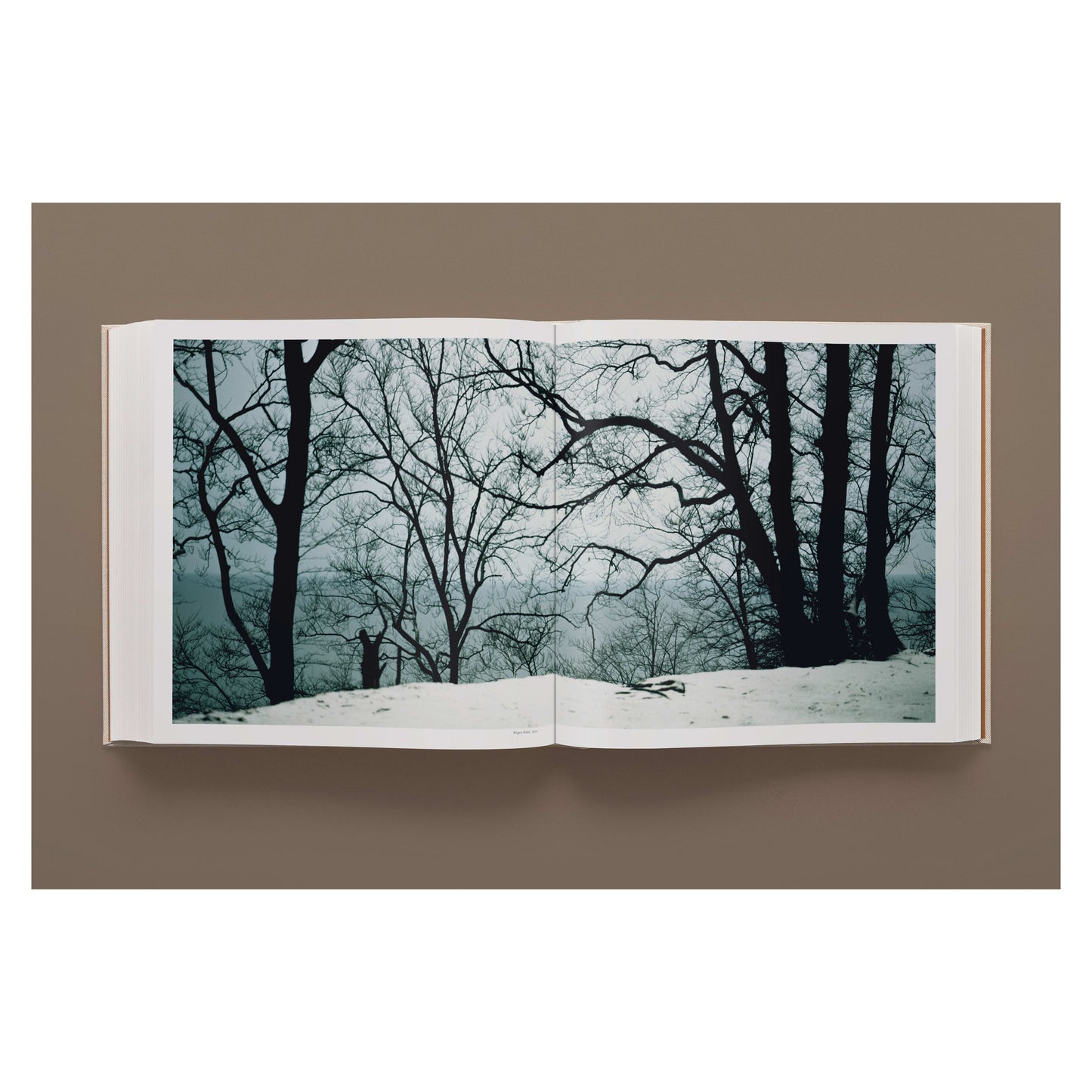 Darren Almond. Fullmoon. Art Edition No. 1–60, ‘Fullmoon@Pentre Ifan’ (German, French, English)