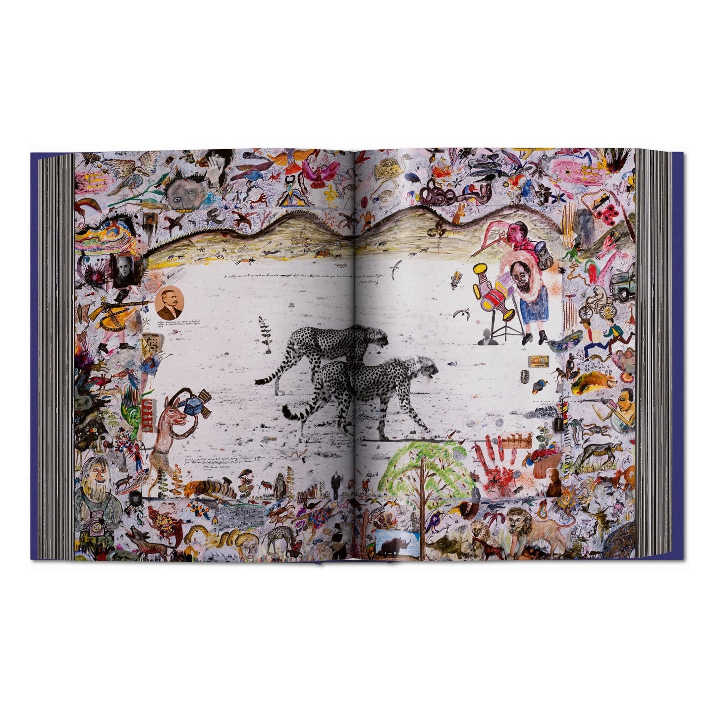 Peter Beard (German, French, English)