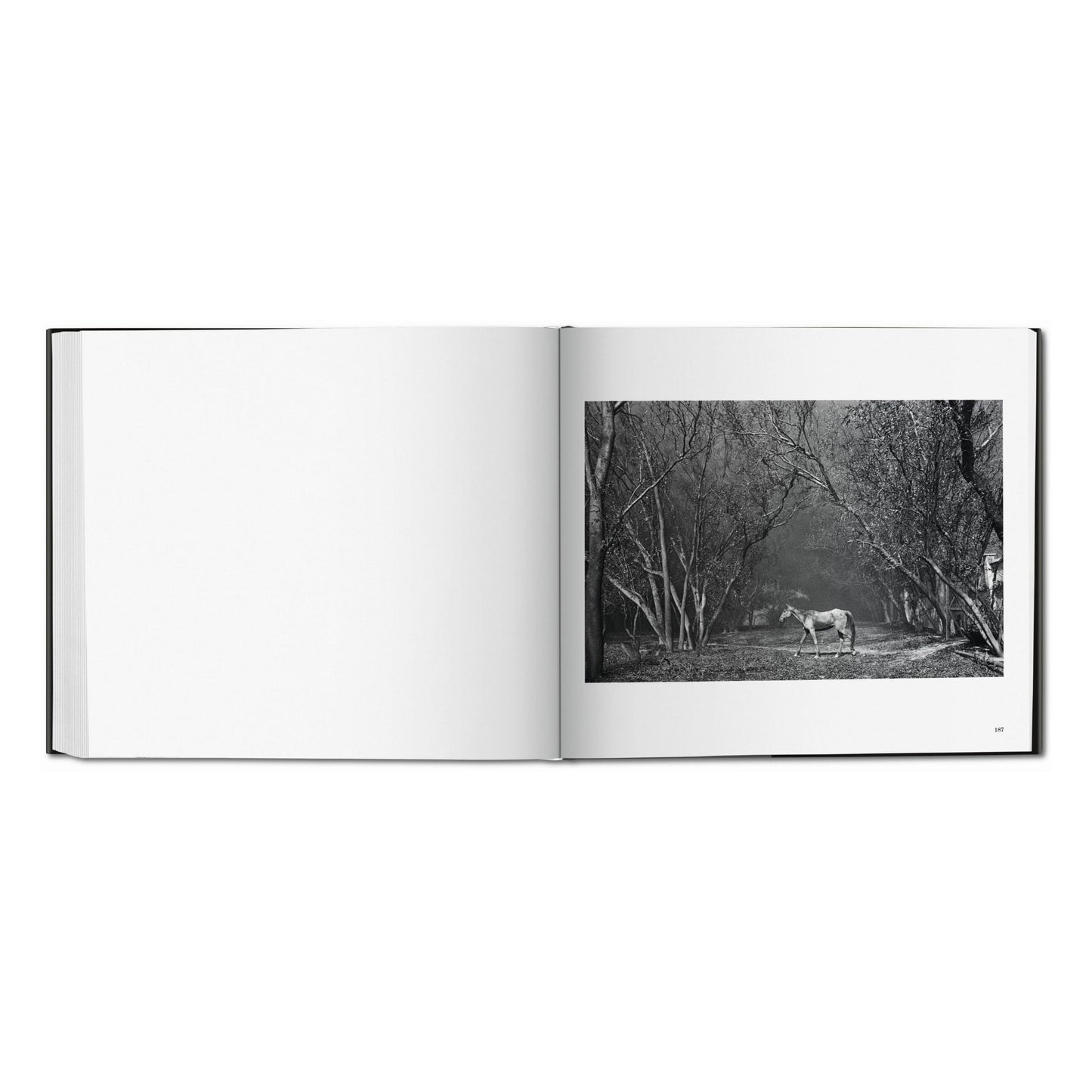 Sebastião Salgado. Kuwait. A Desert on Fire (German, French, English)