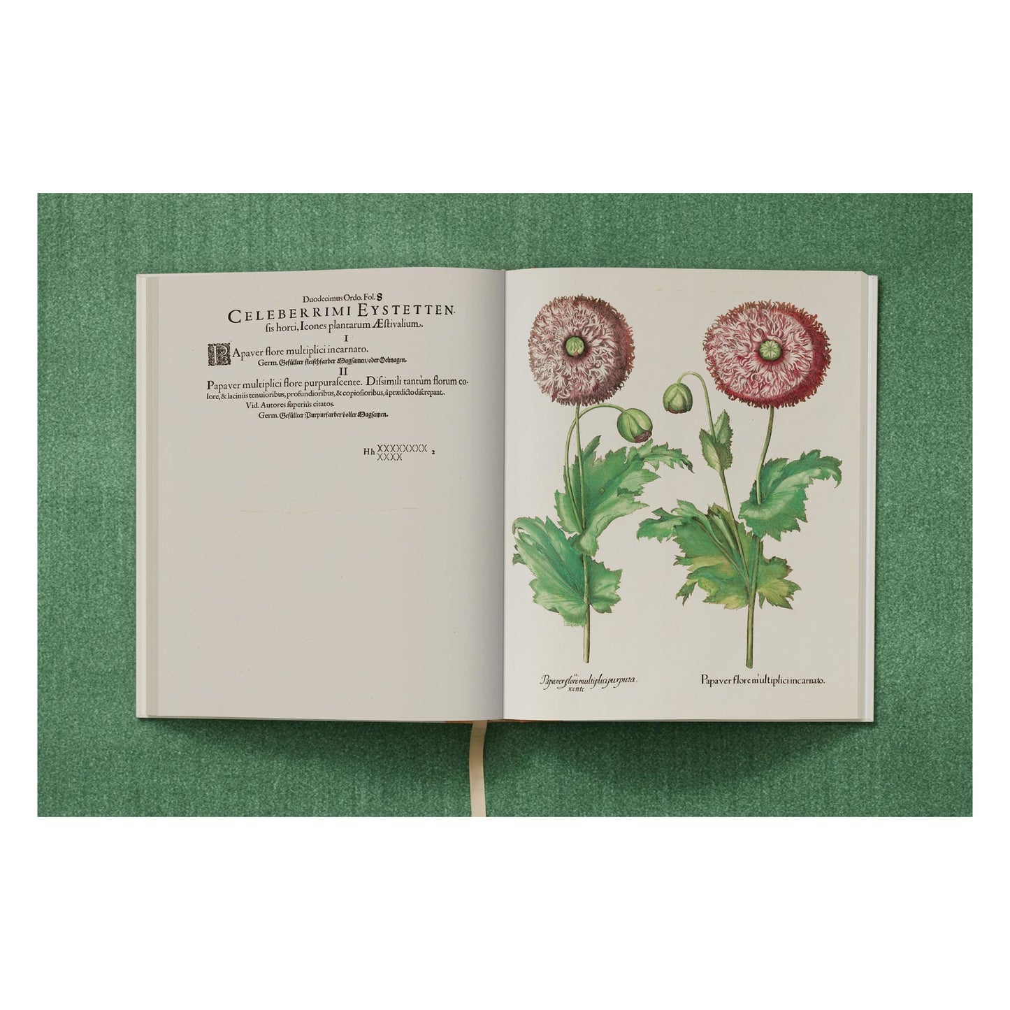 Basilius Besler. The Garden at Eichstätt (German, French, English)