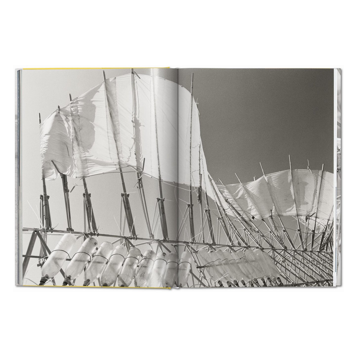 Strandbeest. The Dream Machines of Theo Jansen (German, French, English)