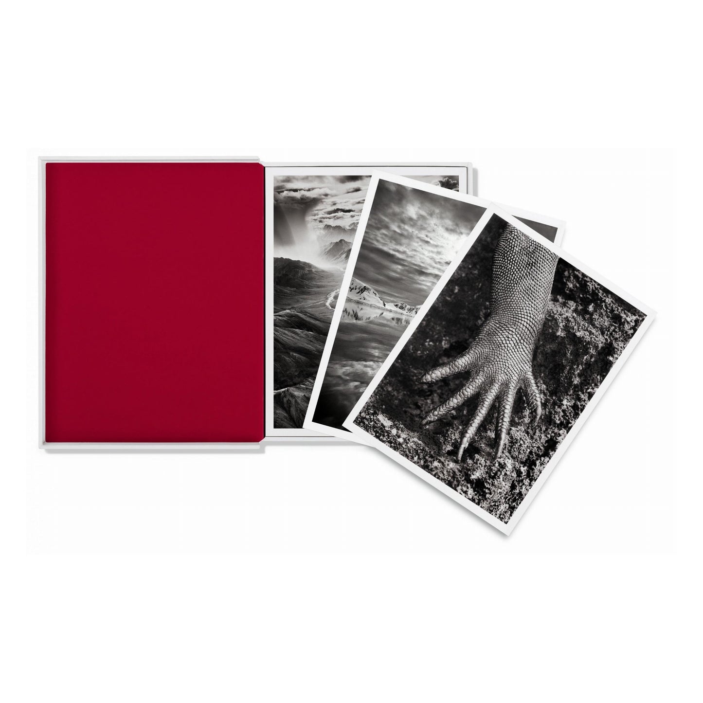 Sebastião Salgado. Genesis. Postcard Set (German, Spanish, French, English)