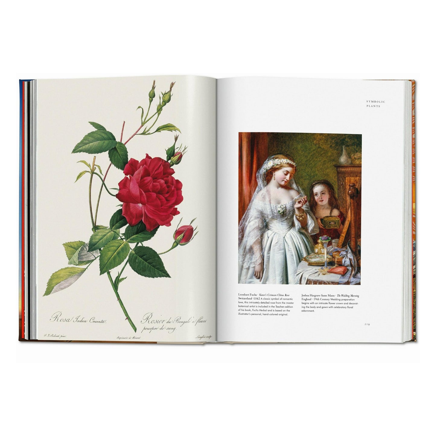 Magie des plantes. La Bibliothèque de l'Ésotérisme (French)
