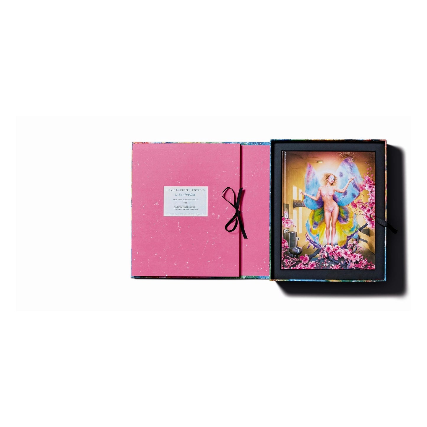 David LaChapelle. Lost and Found. Good News. Art Edition (German, French, English)