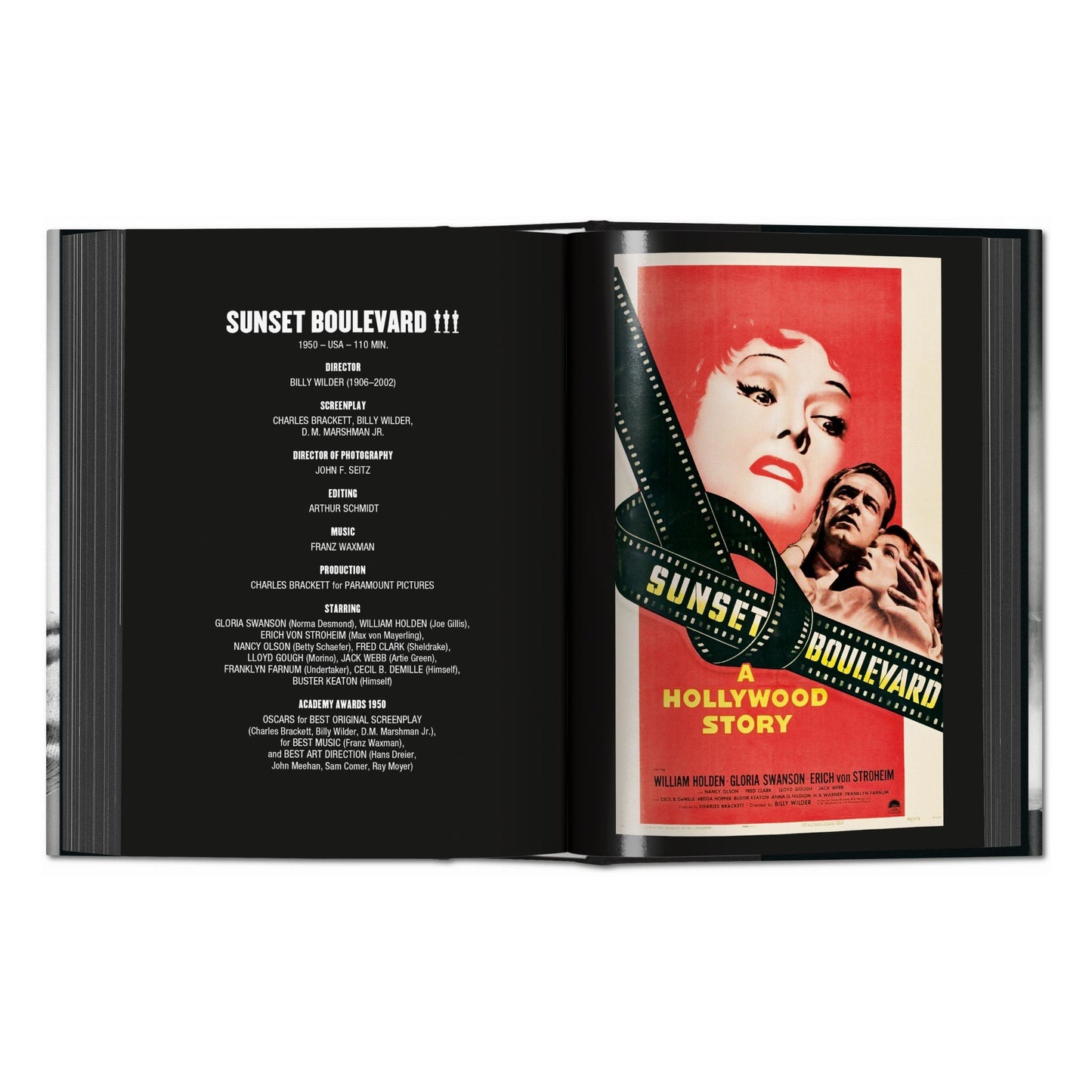 Film Noir (French)