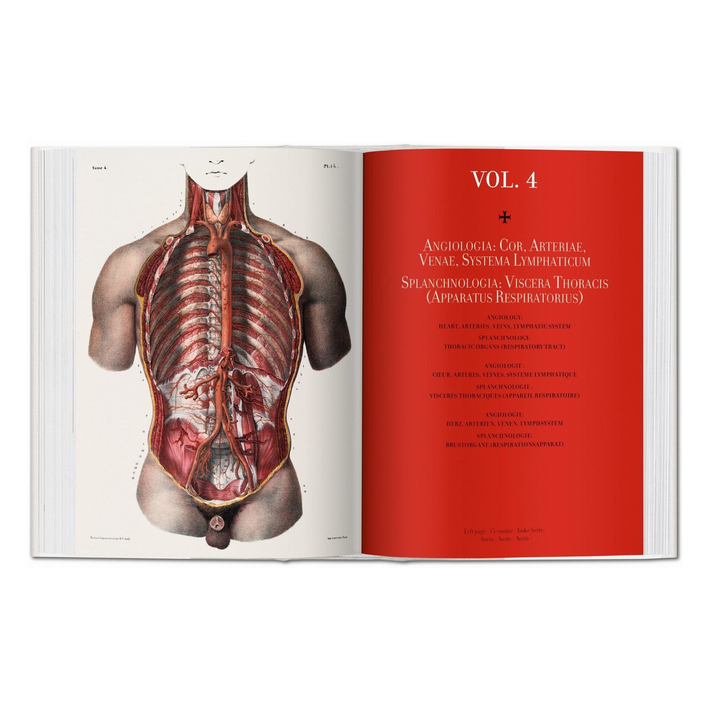 Bourgery. Atlas de anatomía humana y cirugía (Spanish, Italian, Portuguese)