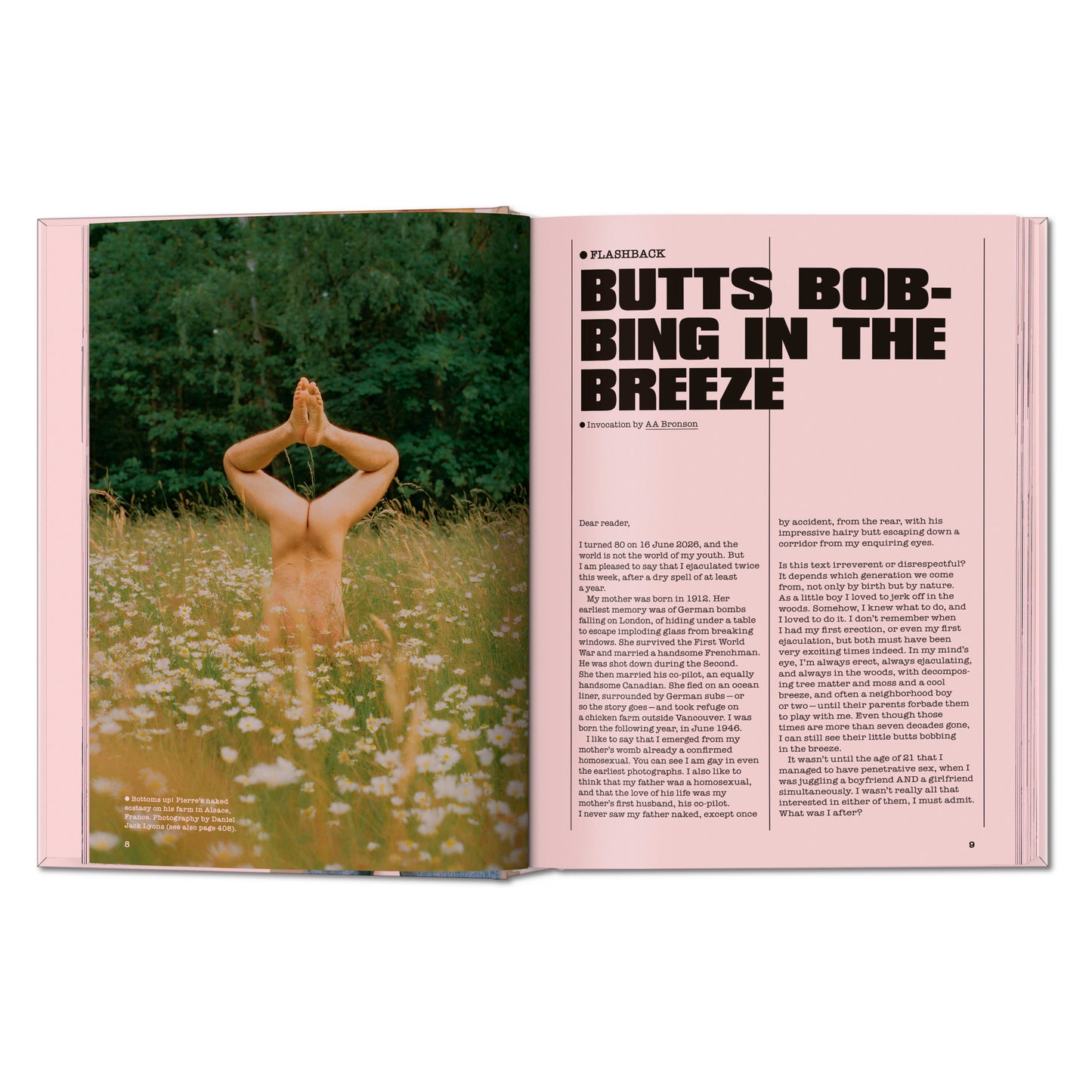 NEW BUTT (English)