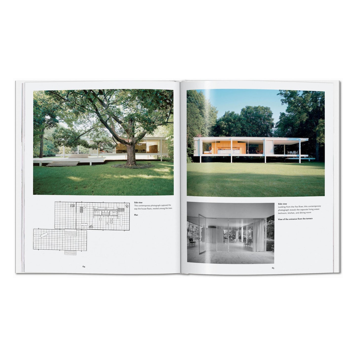 Mies van der Rohe (French)